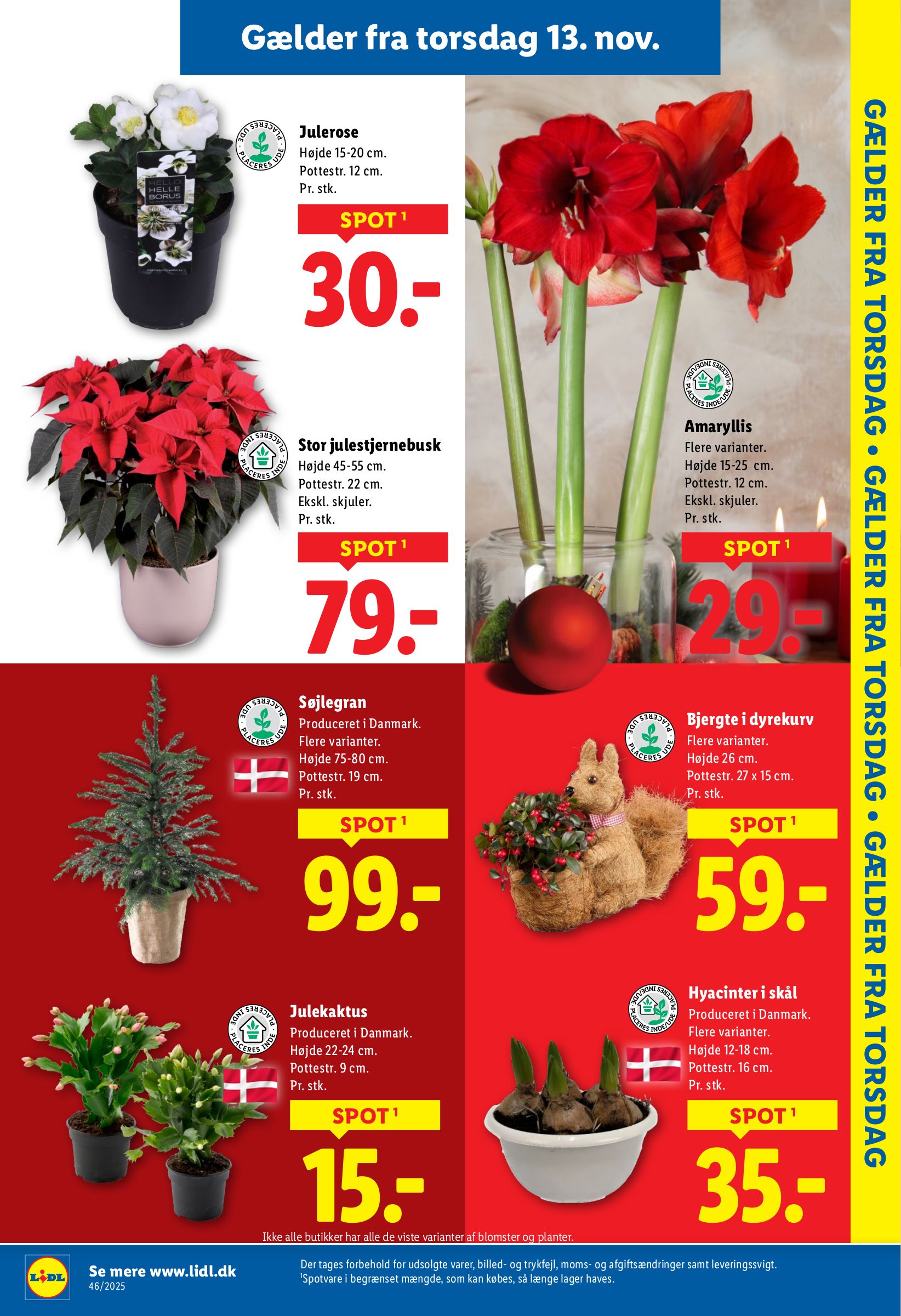 lidl - Lidl - Weekendtilbud tilbudsavis gyldig fra 13.11. til 15.11. - page: 13