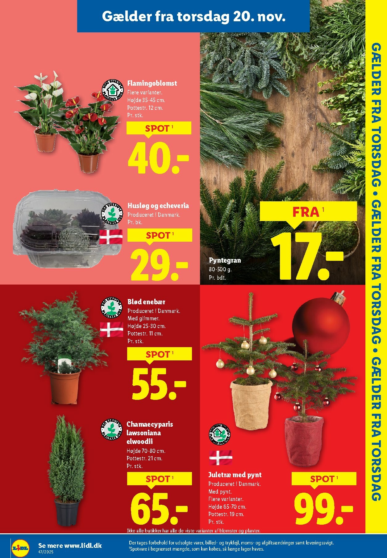 lidl - Lidl tilbudsavis gyldig fra 16.11. til 22.11. - page: 31