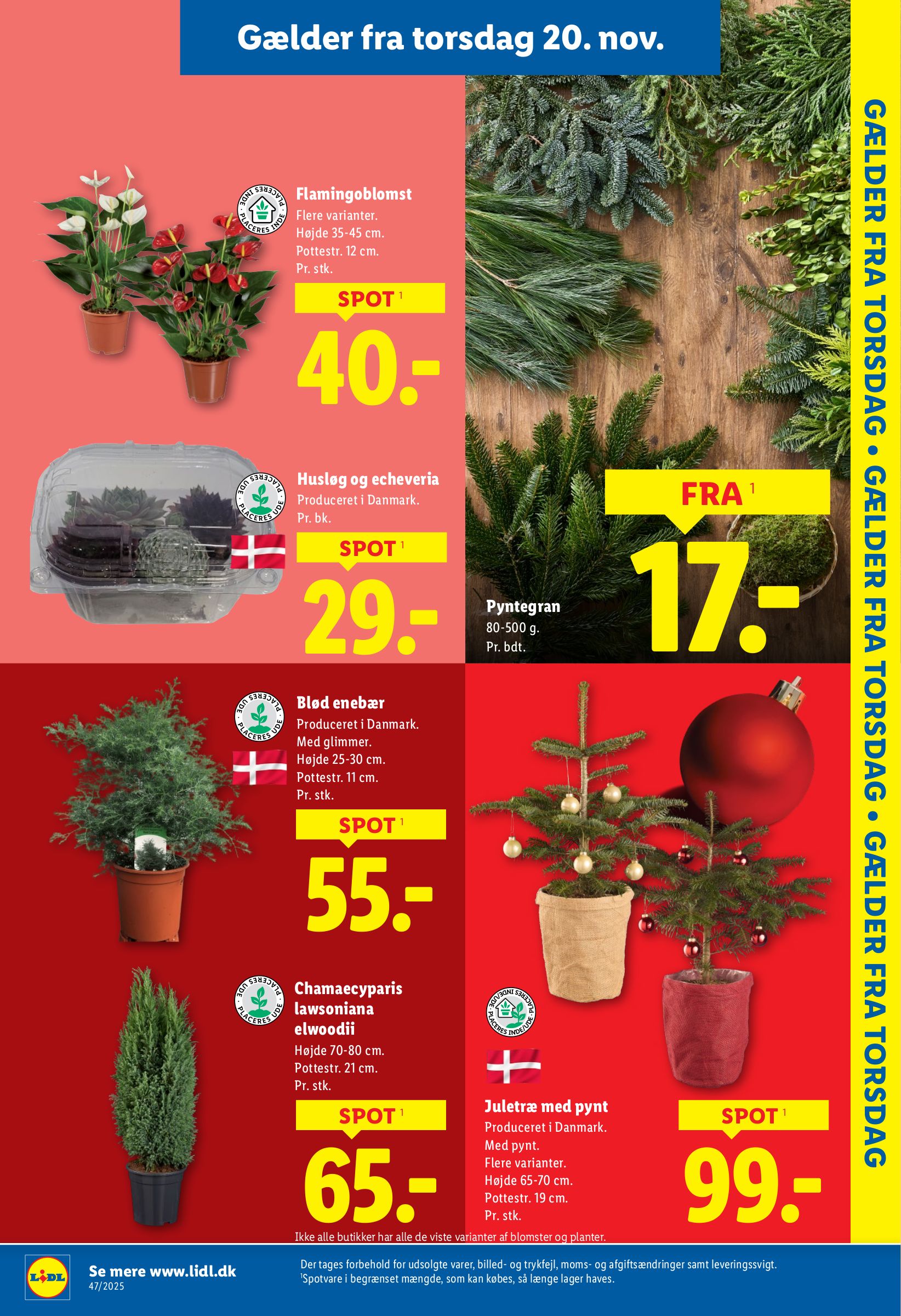 lidl - Lidl tilbudsavis gyldig fra 20.11. til 22.11. - page: 12