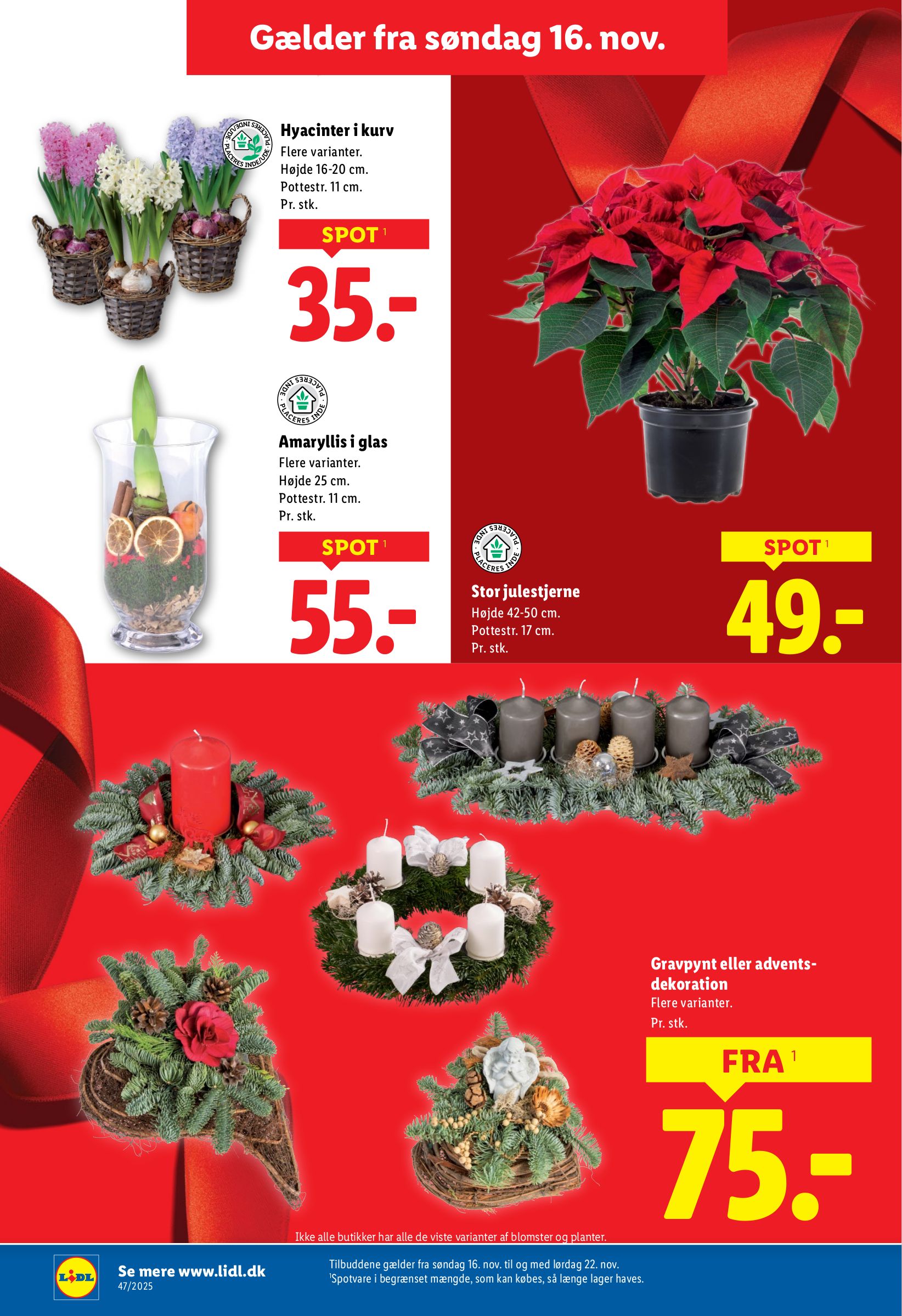 lidl - Lidl tilbudsavis gyldig fra 20.11. til 22.11. - page: 32