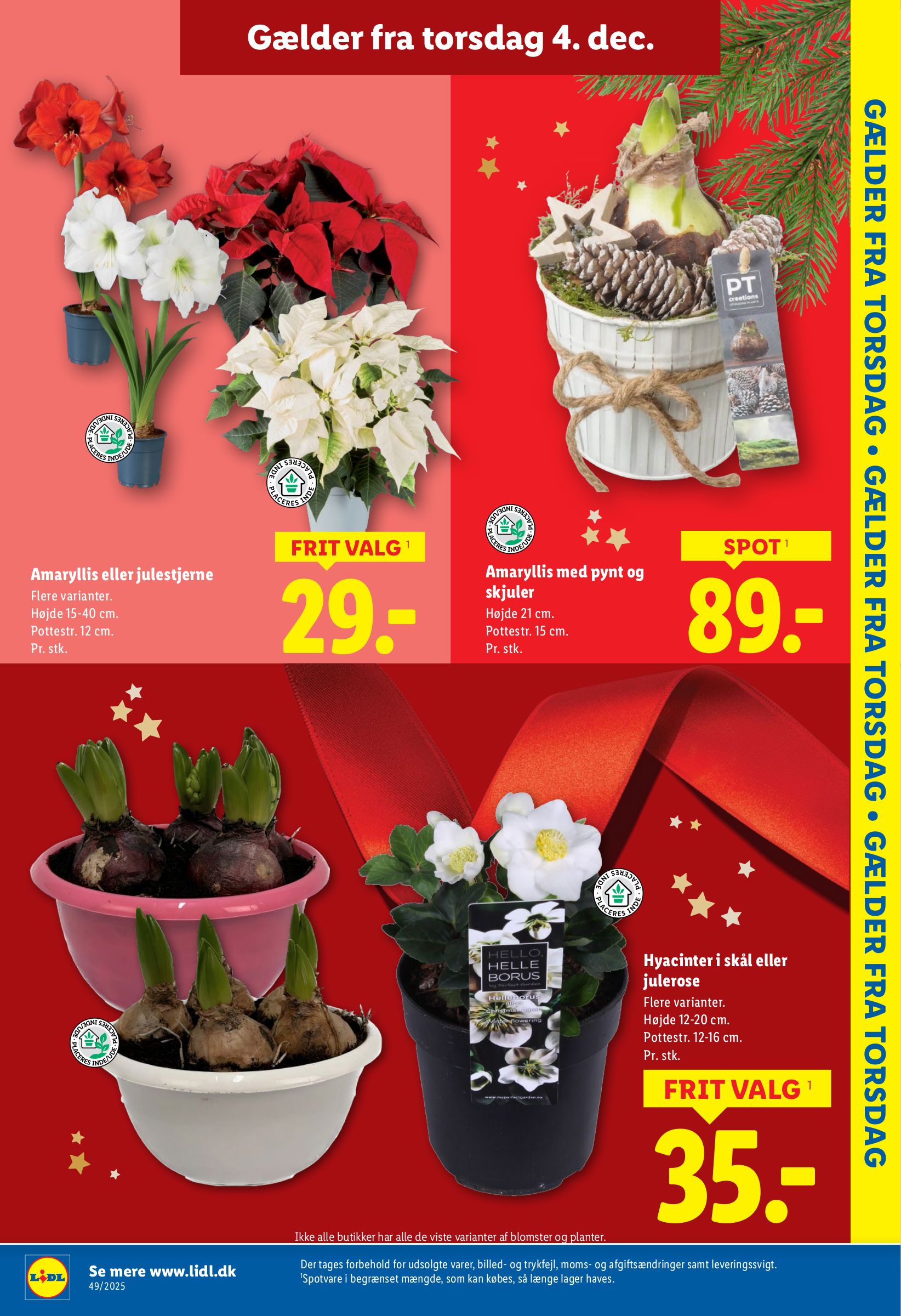 lidl - Lidl tilbudsavis gyldig fra 30.11. til 06.12. - page: 31