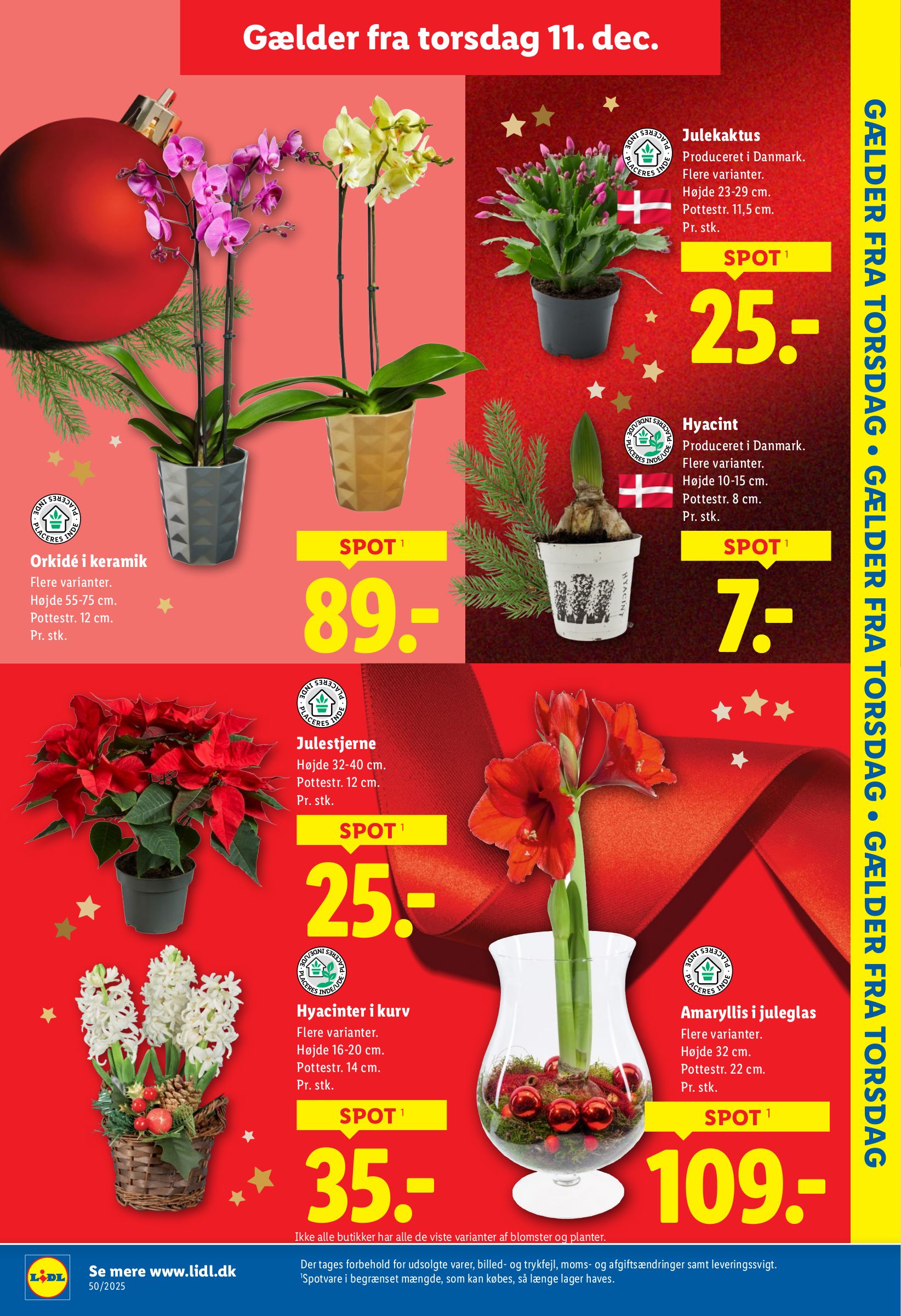 lidl - Lidl - Weekendtilbud tilbudsavis gyldig fra 11.12. til 13.12. - page: 11