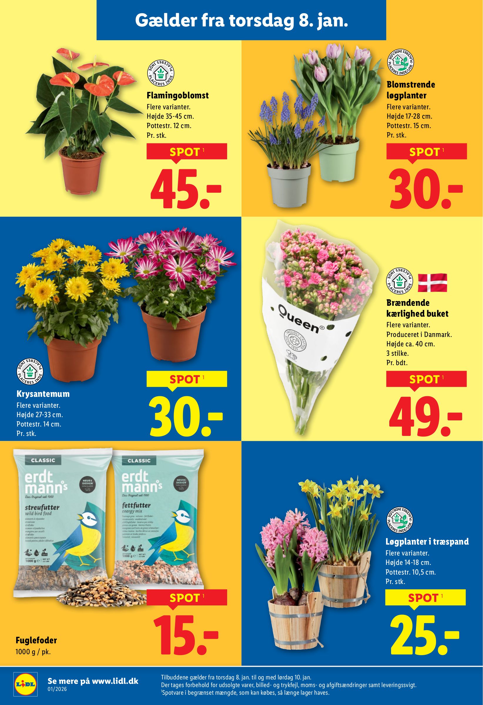 lidl - Lidl tilbudsavis gyldig fra 02.01. til 10.01. - page: 38