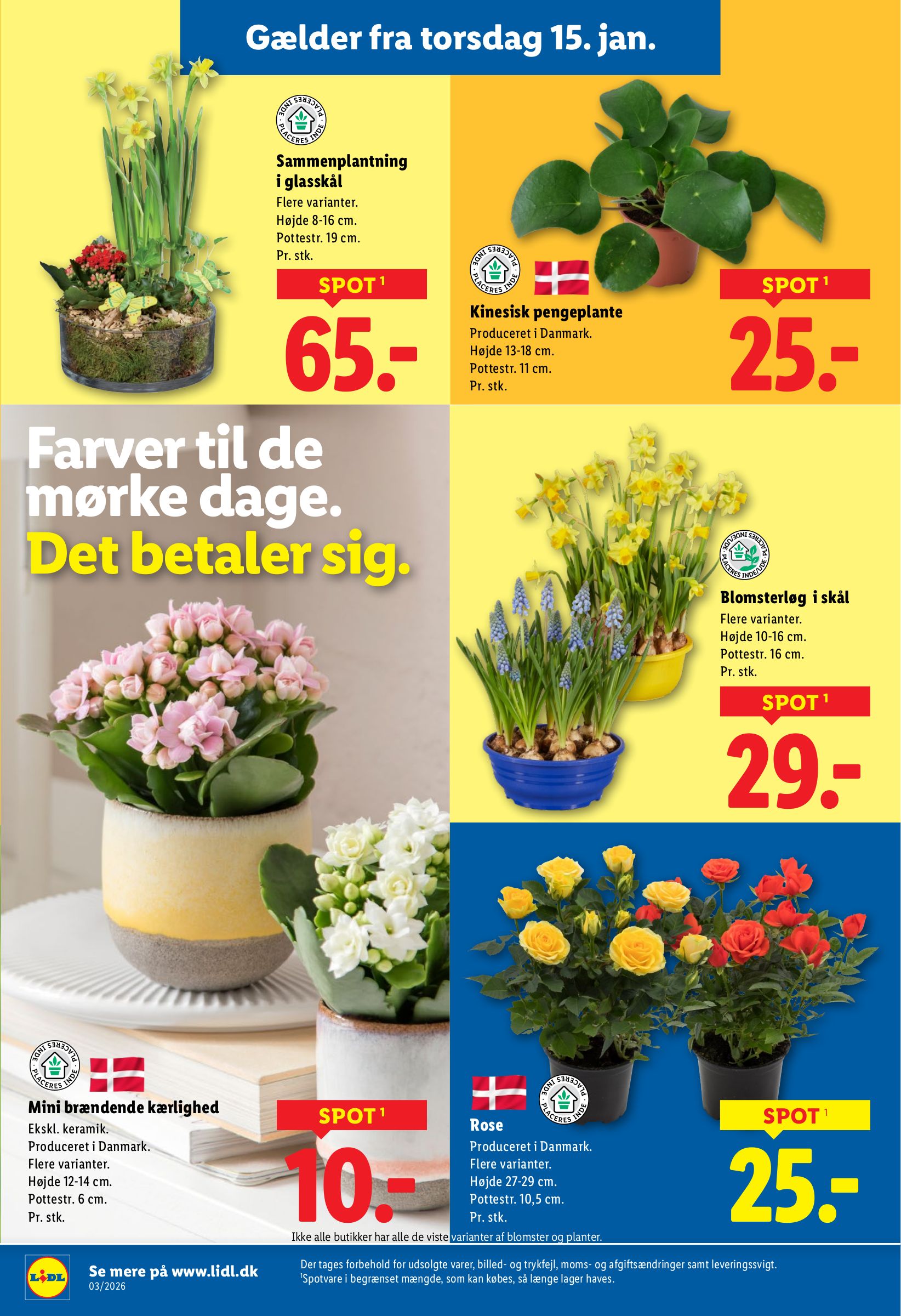 lidl - Lidl tilbudsavis gyldig fra 11.01. til 17.01. - page: 34
