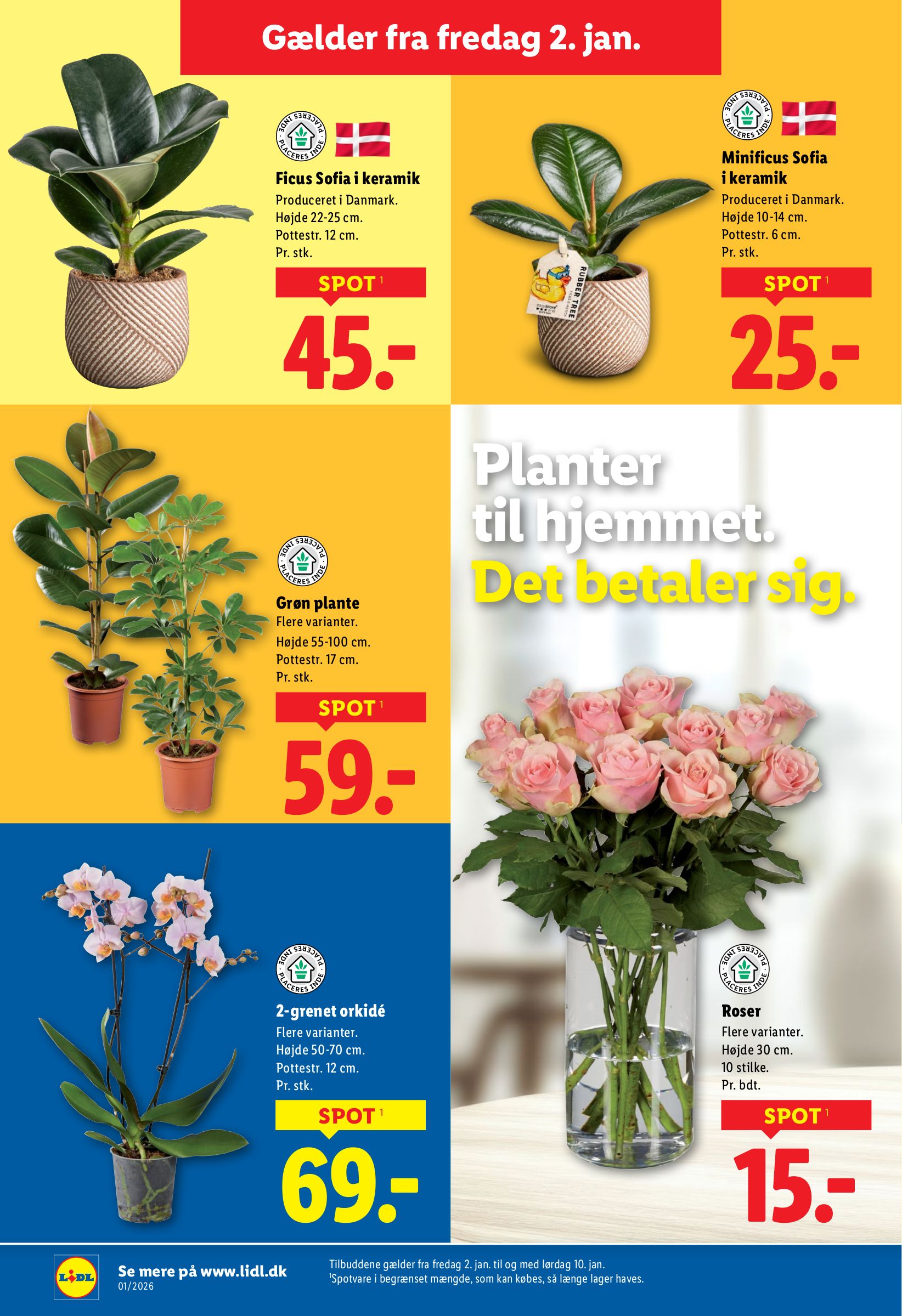 lidl - Lidl tilbudsavis gyldig fra 08.01. til 10.01. - page: 44