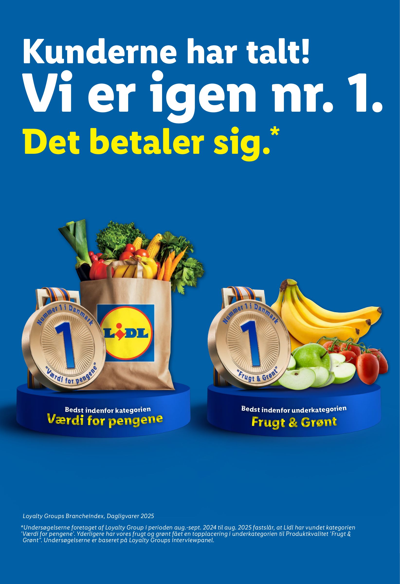 lidl - Lidl tilbudsavis gyldig fra 08.01. til 10.01. - page: 17