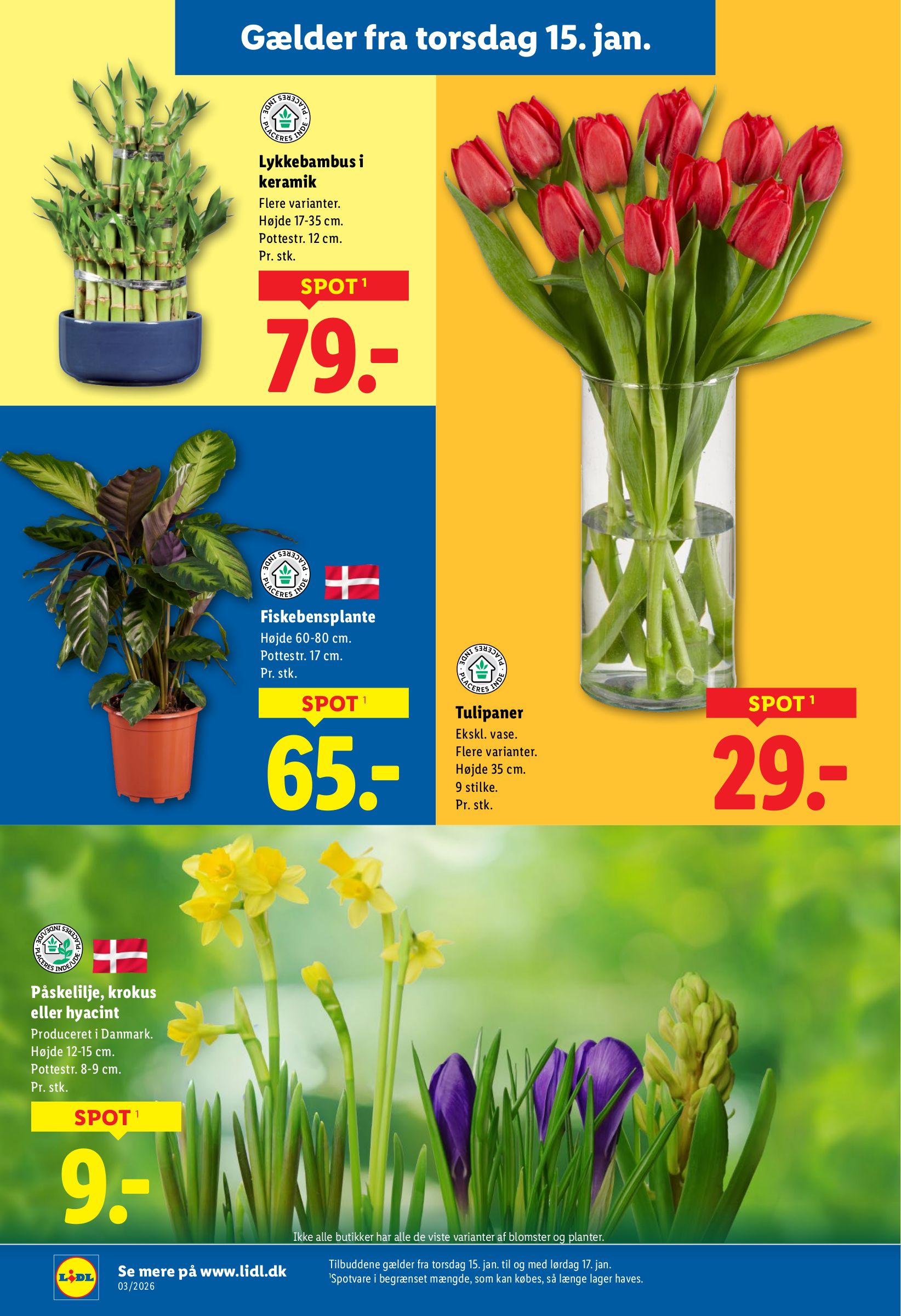lidl - Lidl - Weekendtilbud tilbudsavis gyldig fra 15.01. til 17.01. - page: 6