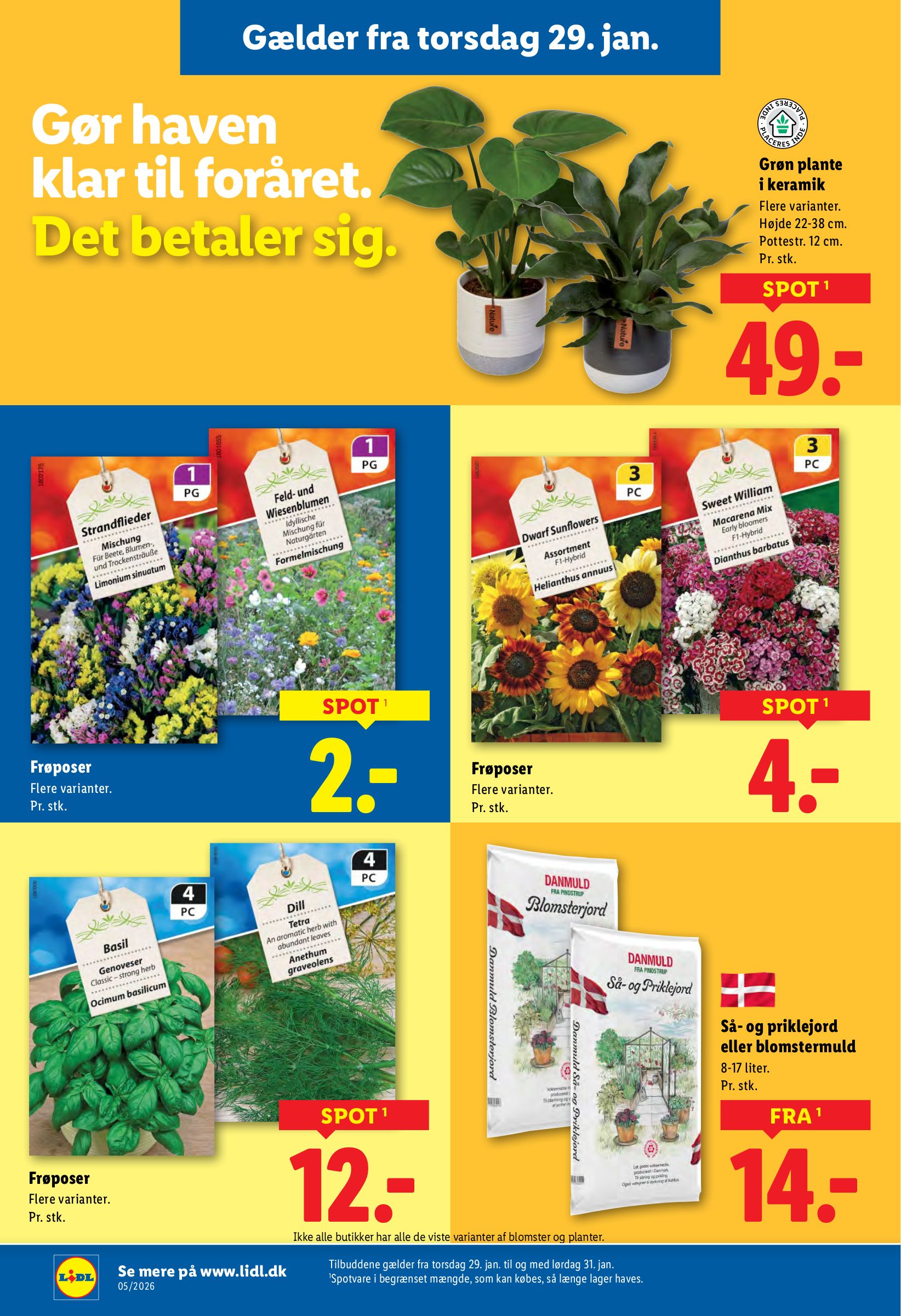 lidl - Lidl tilbudsavis gyldig fra 25.01. til 31.01. - page: 31