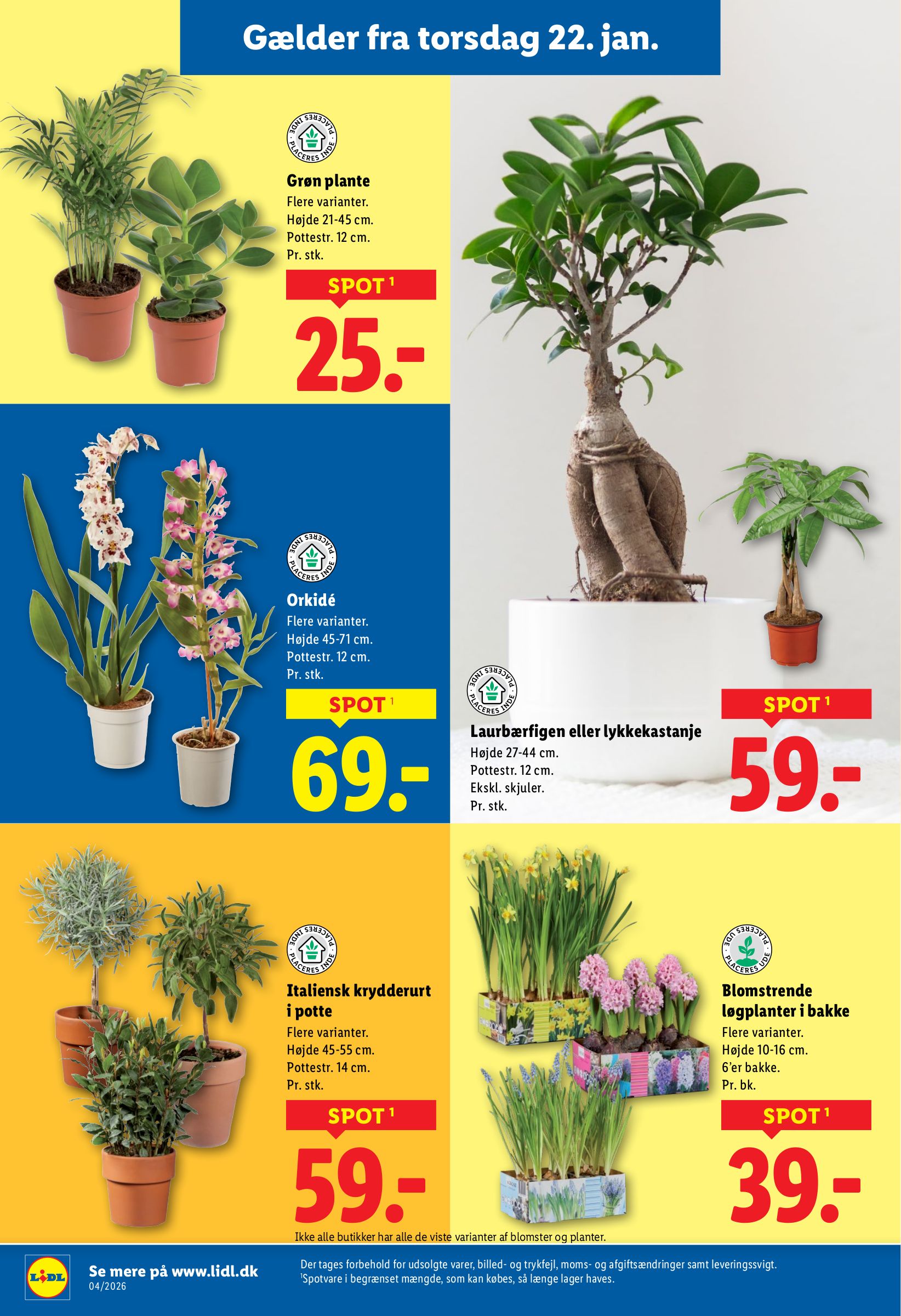 lidl - Lidl - Weekendtilbud tilbudsavis gyldig fra 22.01. til 24.01. - page: 13