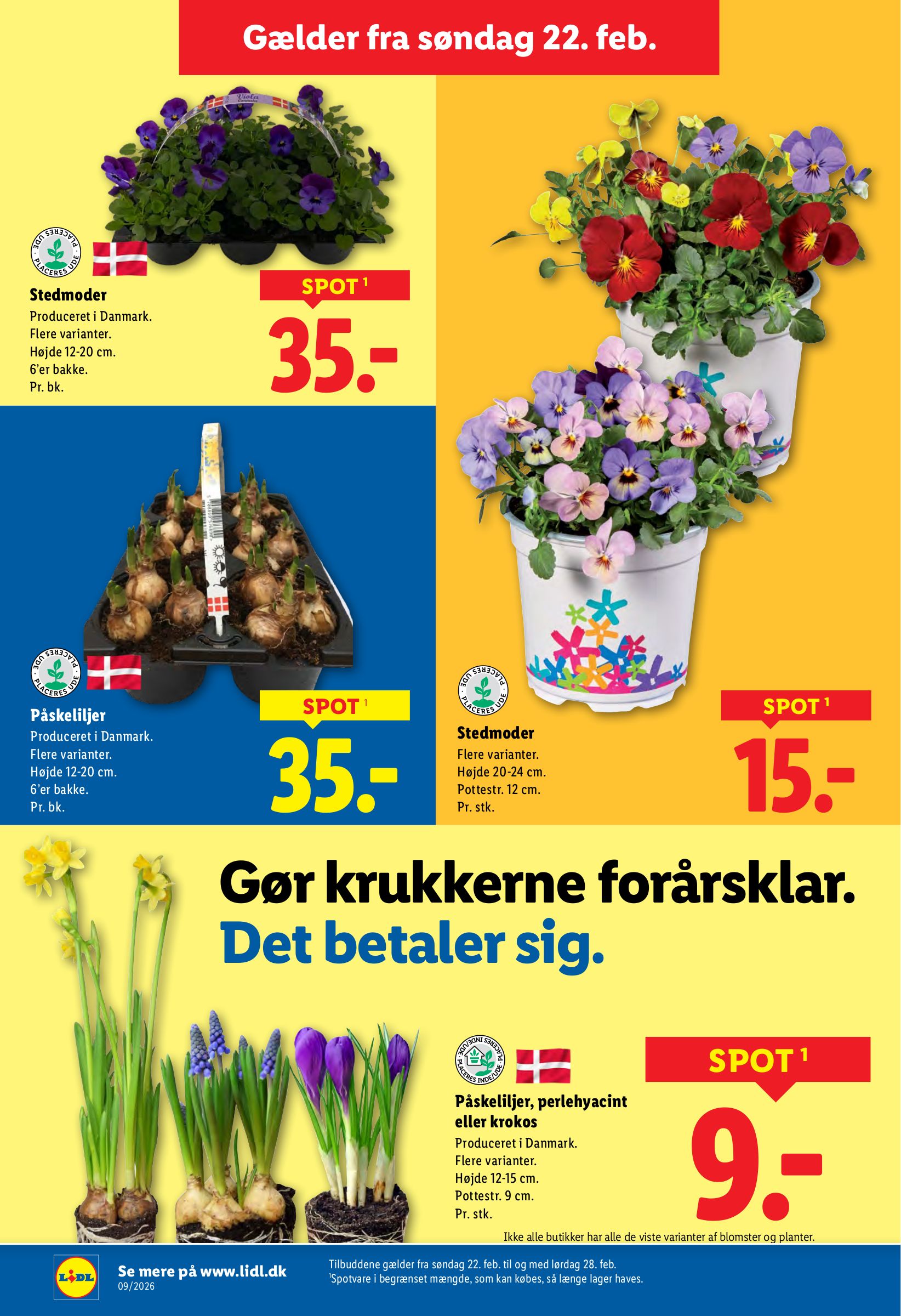 lidl - Lidl tilbudsavis gyldig fra 22.02.2026 til 28.02.2026 - page: 33