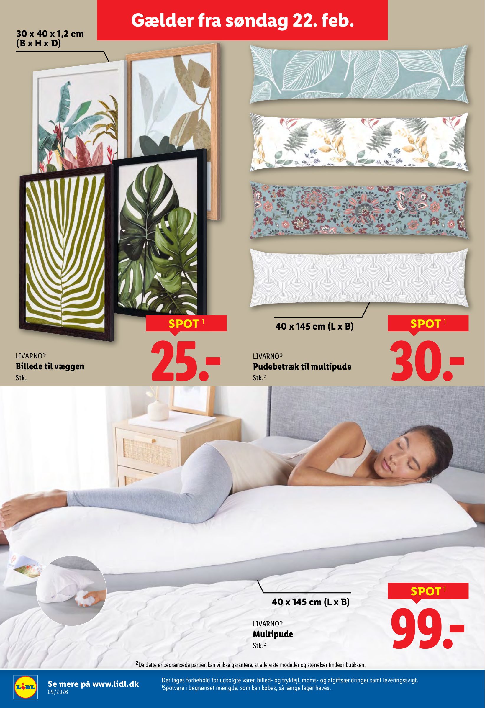 lidl - Lidl tilbudsavis gyldig fra 22.02.2026 til 28.02.2026 - page: 19