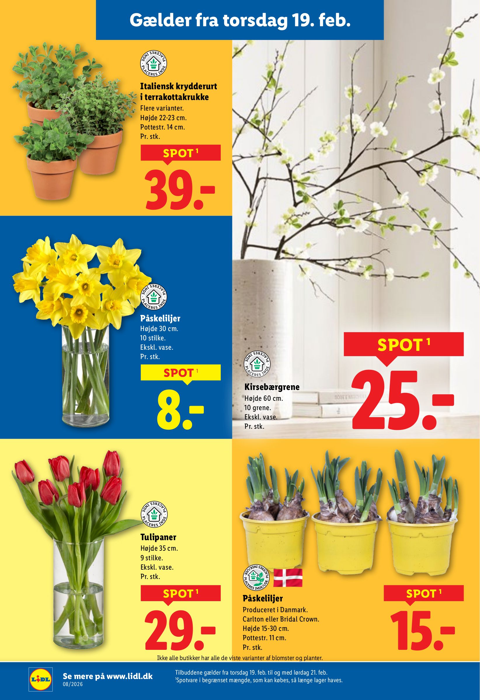 lidl - Lidl - Weekendtilbud tilbudsavis gyldig fra 19.02.2026 til 21.02.2026 - page: 12