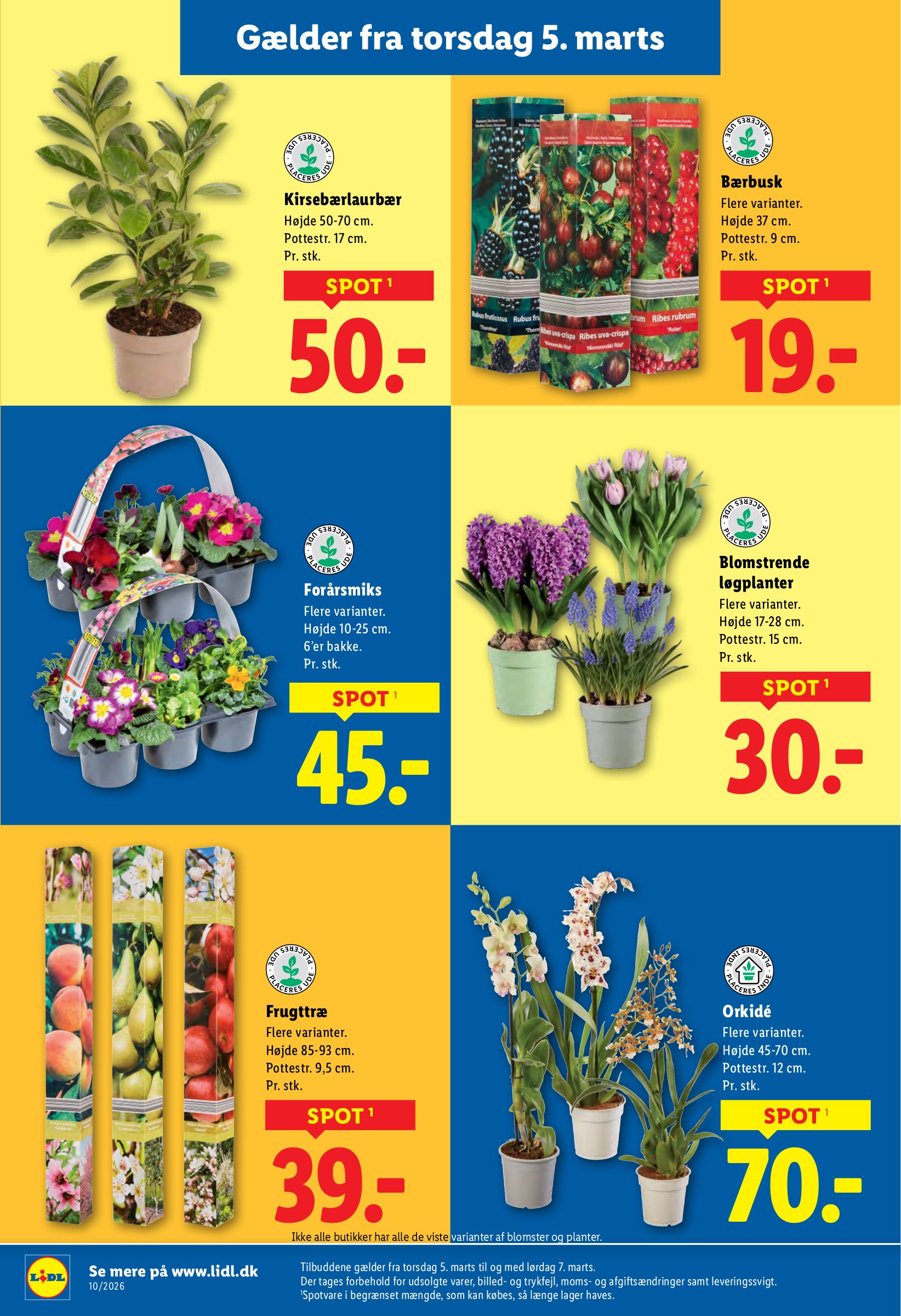 lidl - Lidl tilbudsavis gyldig fra 05.03.2026 til 07.03.2026 - page: 6