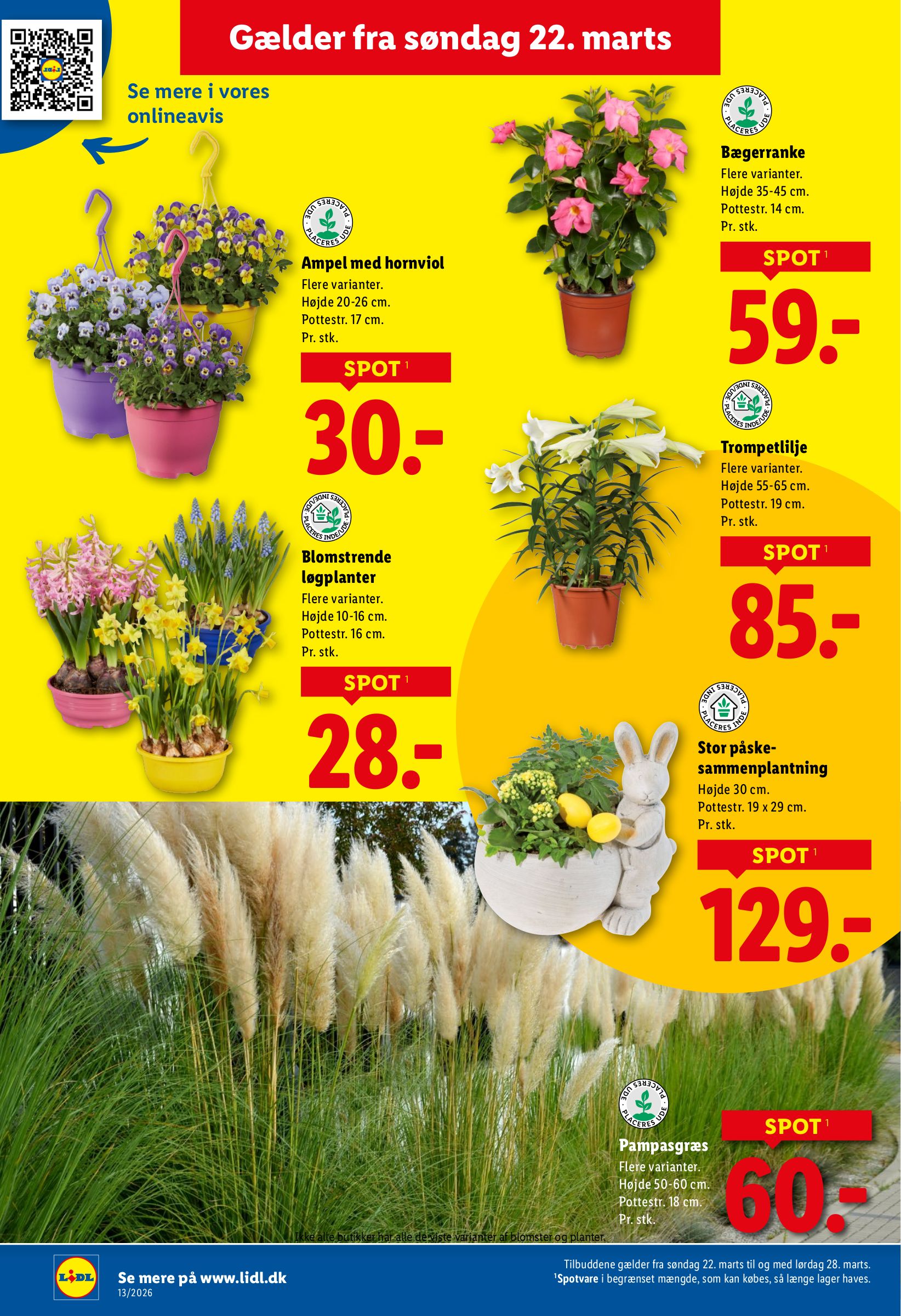 lidl - Lidl tilbudsavis gyldig fra 22.03.2026 til 28.03.2026 - page: 23