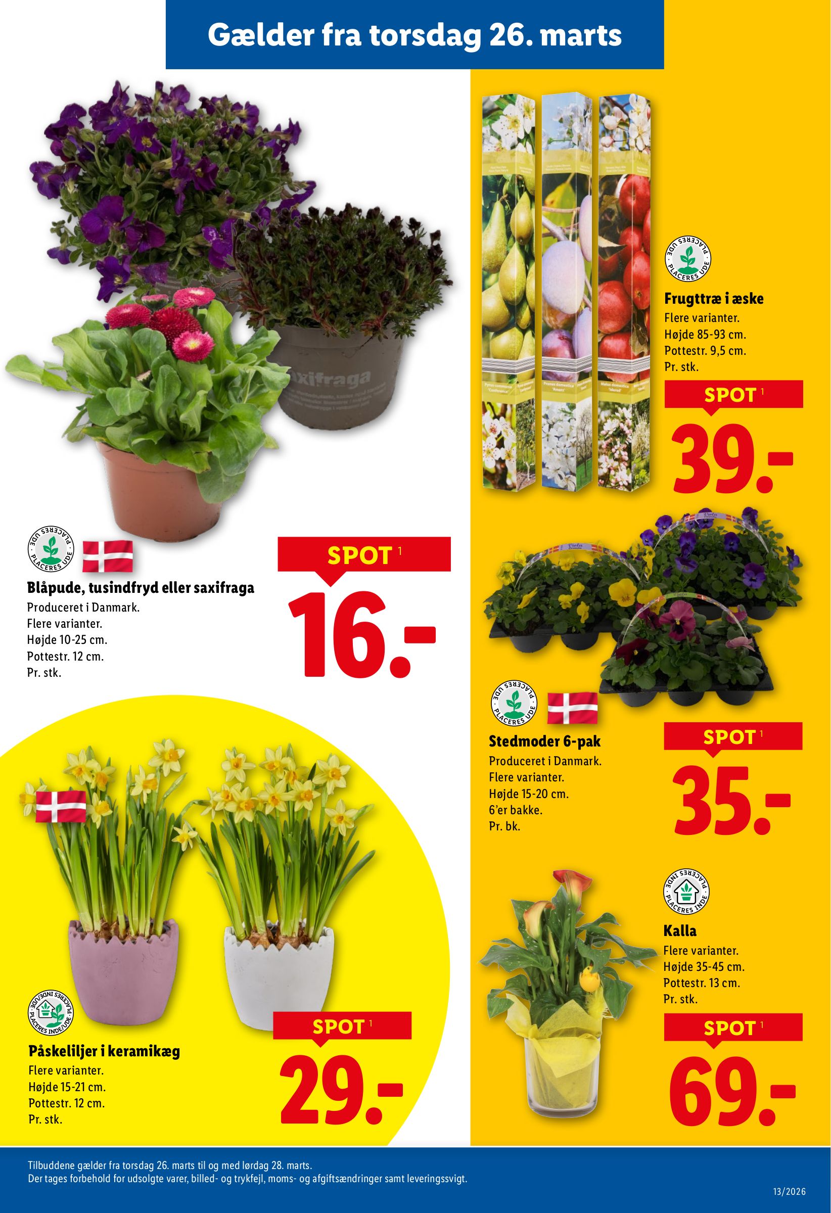 lidl - Lidl tilbudsavis gyldig fra 22.03.2026 til 28.03.2026 - page: 24