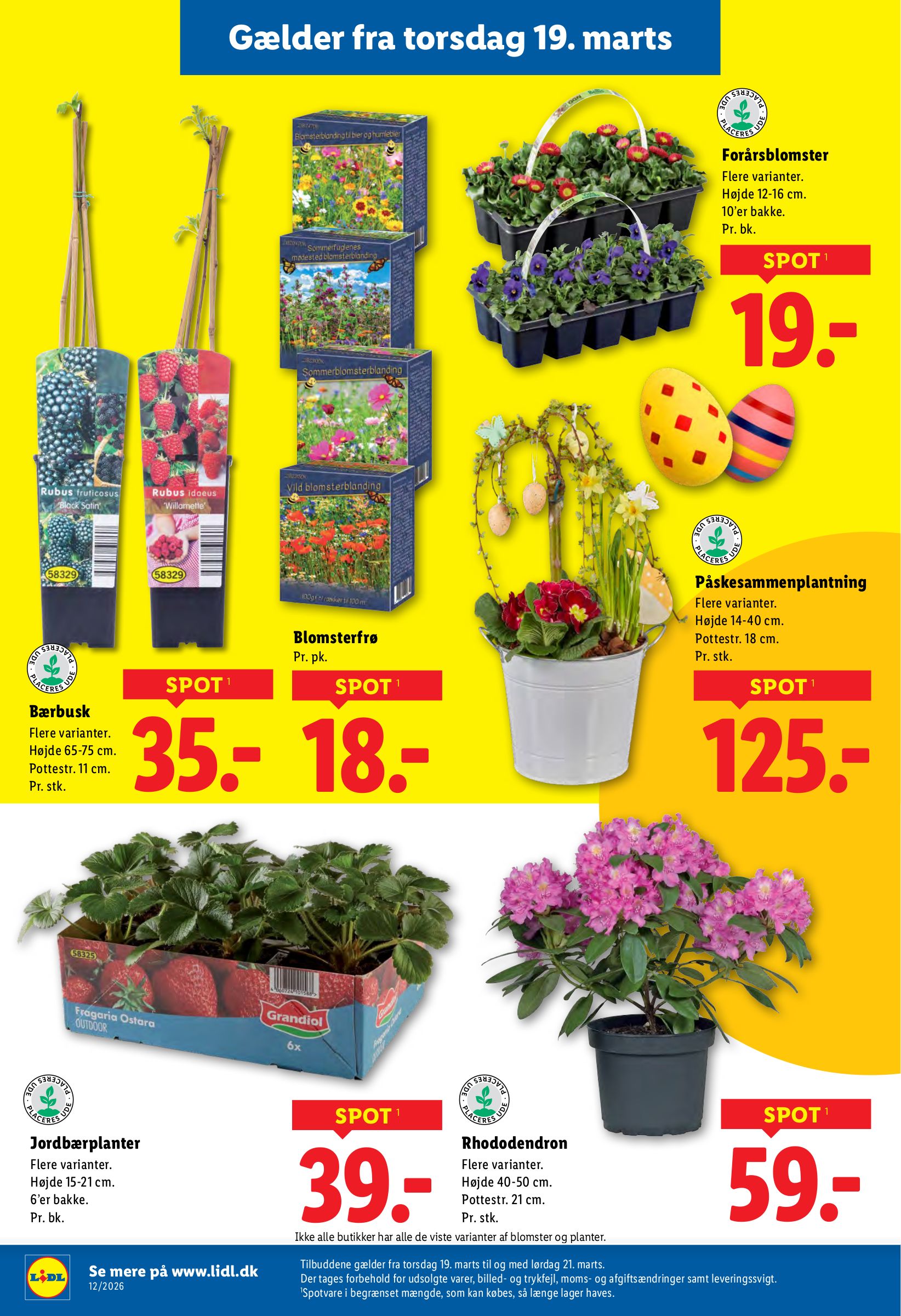 lidl - Lidl tilbudsavis gyldig fra 19.03.2026 til 21.03.2026 - page: 6