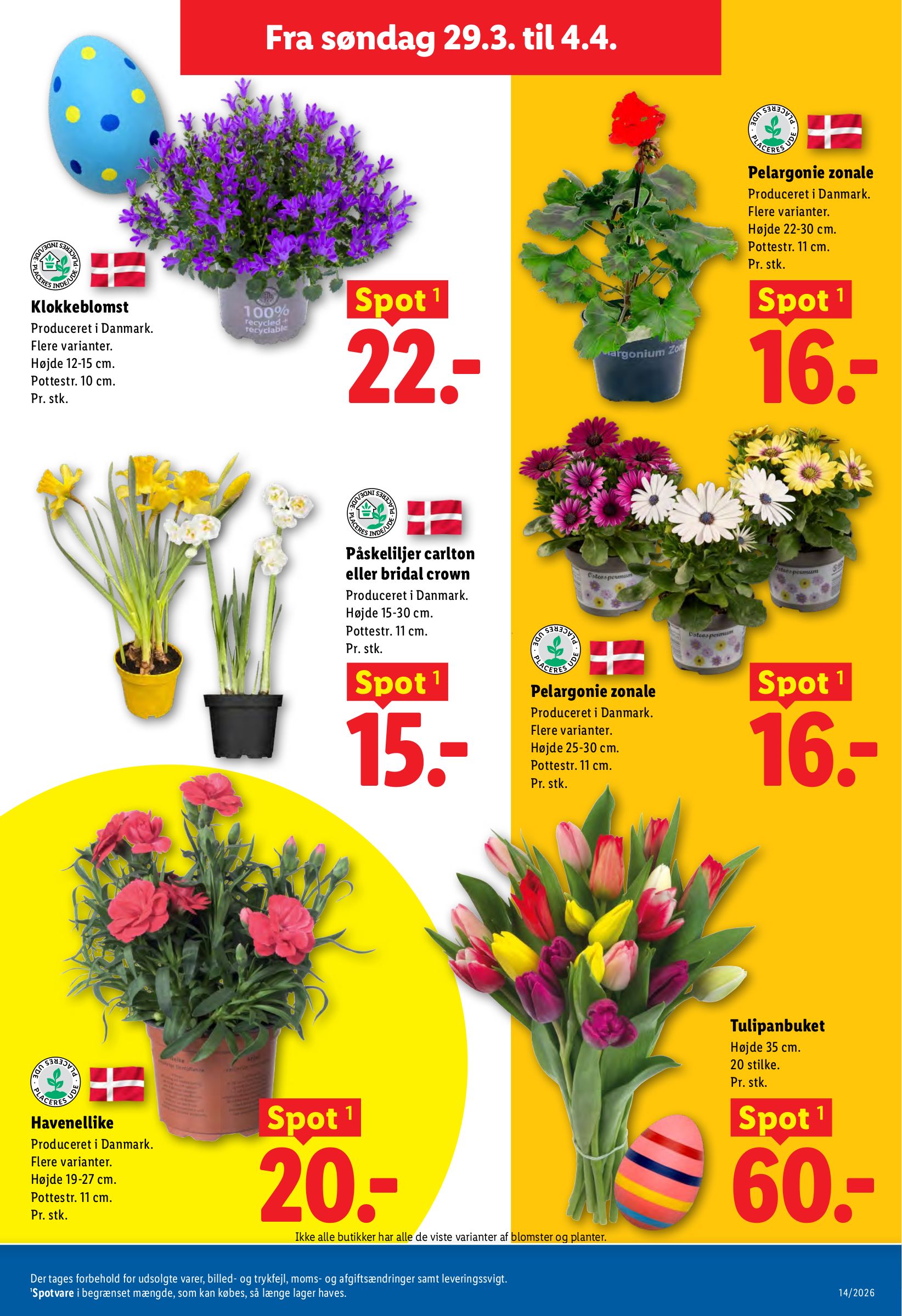 lidl - Lidl tilbudsavis gyldig fra 29.03.2026 til 04.04.2026 - page: 36