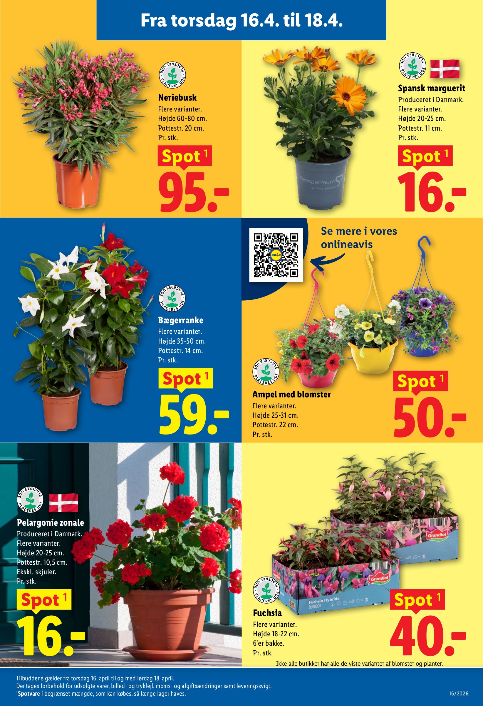 lidl - Lidl flyer til næste uge fra søndag 12.04.2026 til lørdag 18.04.2026 - page: 32