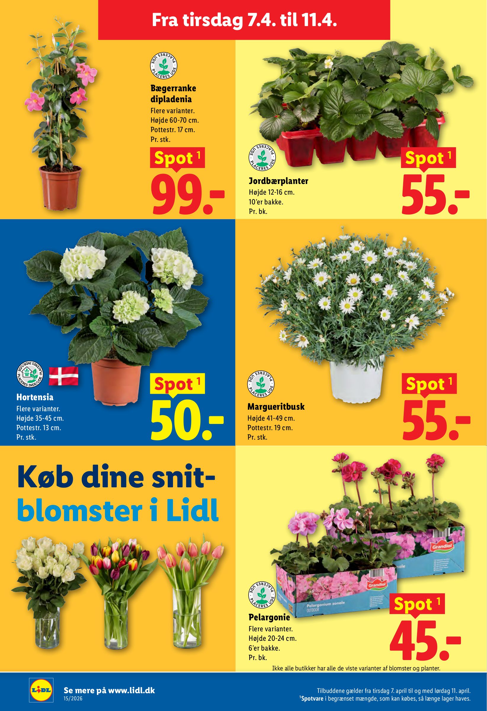 lidl - Aktuel Lidl katalog gyldig fra torsdag 09.04.2026 til lørdag 11.04.2026 - page: 38