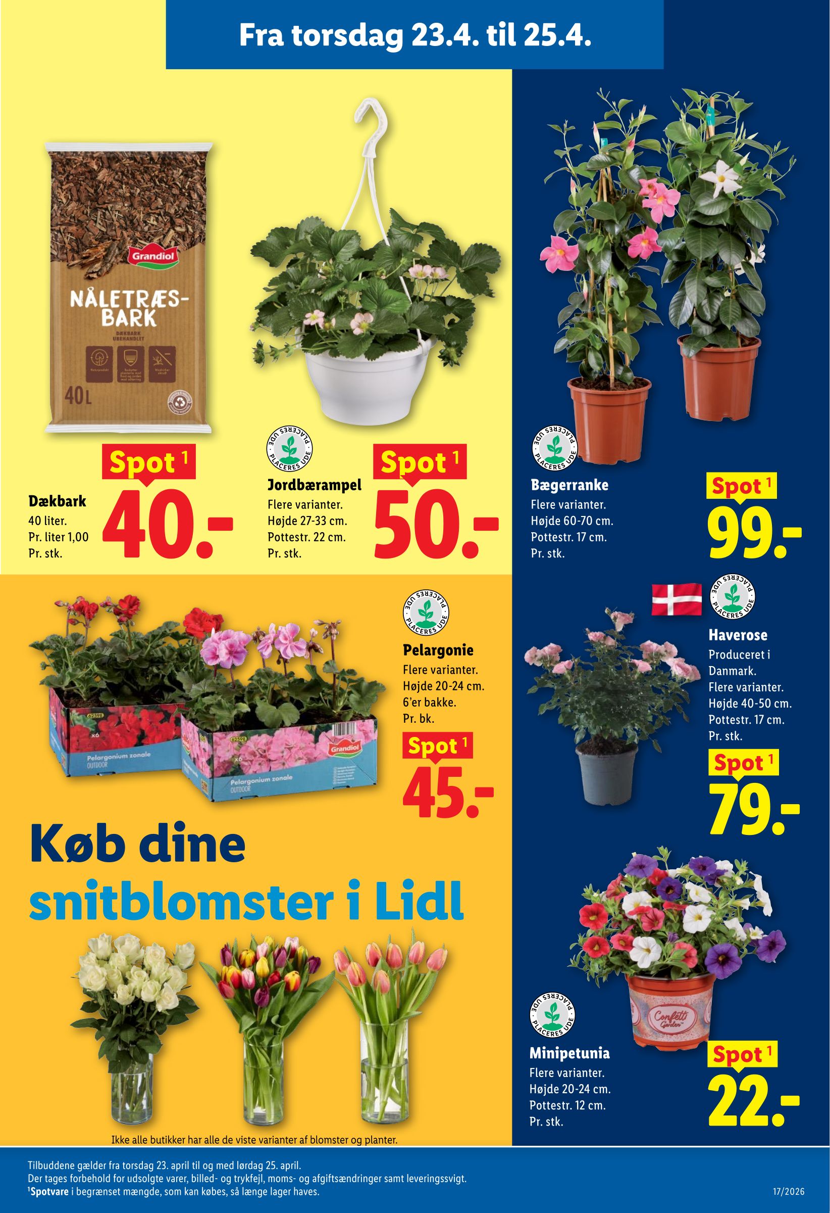 lidl - Aktuel Lidl katalog gyldig fra søndag 19.04.2026 til lørdag 25.04.2026 - page: 36