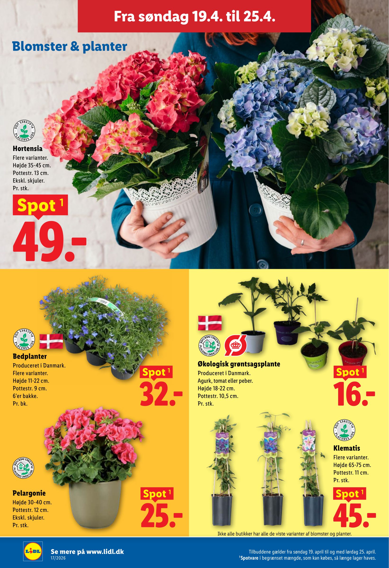 lidl - Aktuel Lidl katalog gyldig fra søndag 19.04.2026 til lørdag 25.04.2026 - page: 35