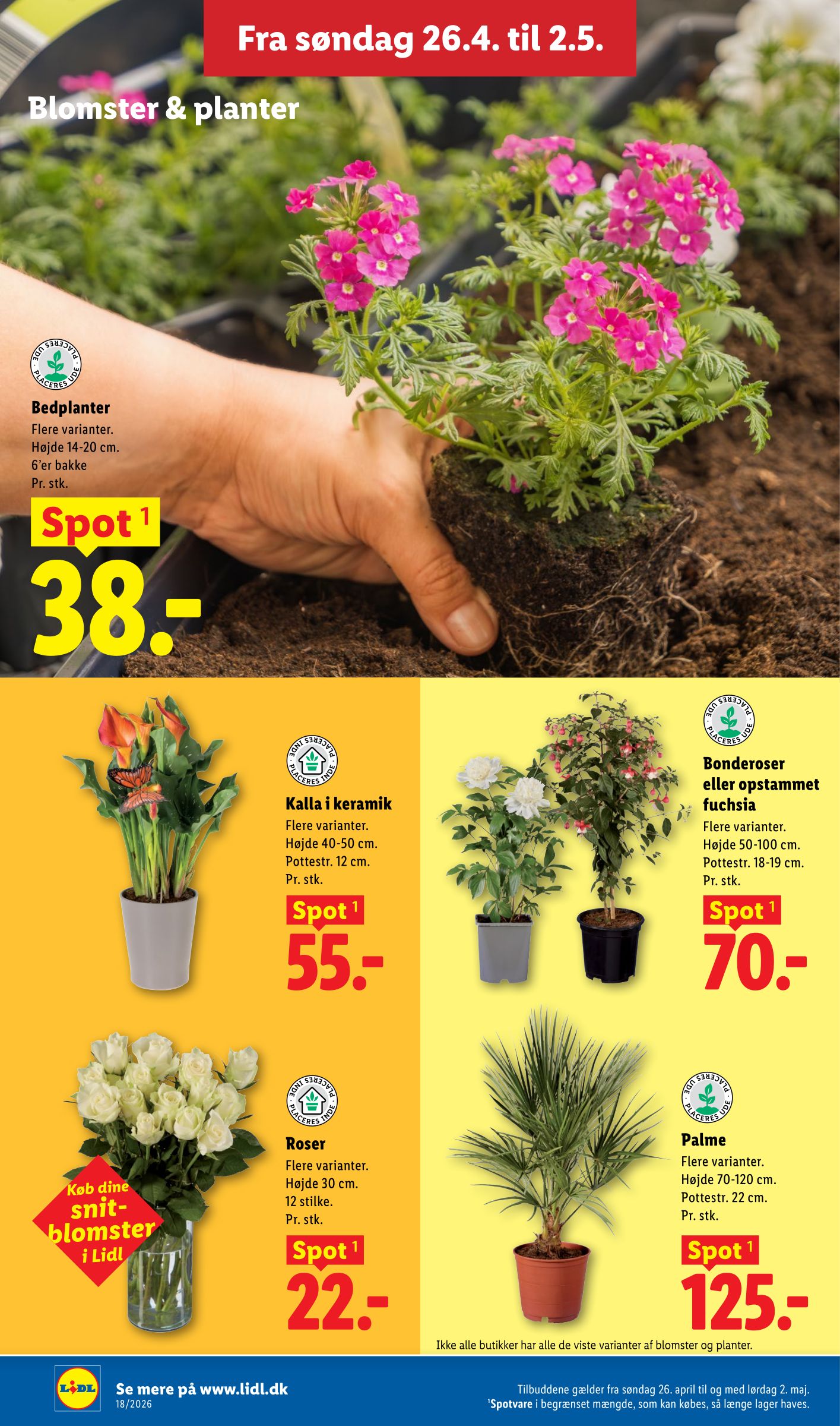 lidl - Lidl flyer til næste uge fra søndag 26.04.2026 til lørdag 02.05.2026 - page: 33