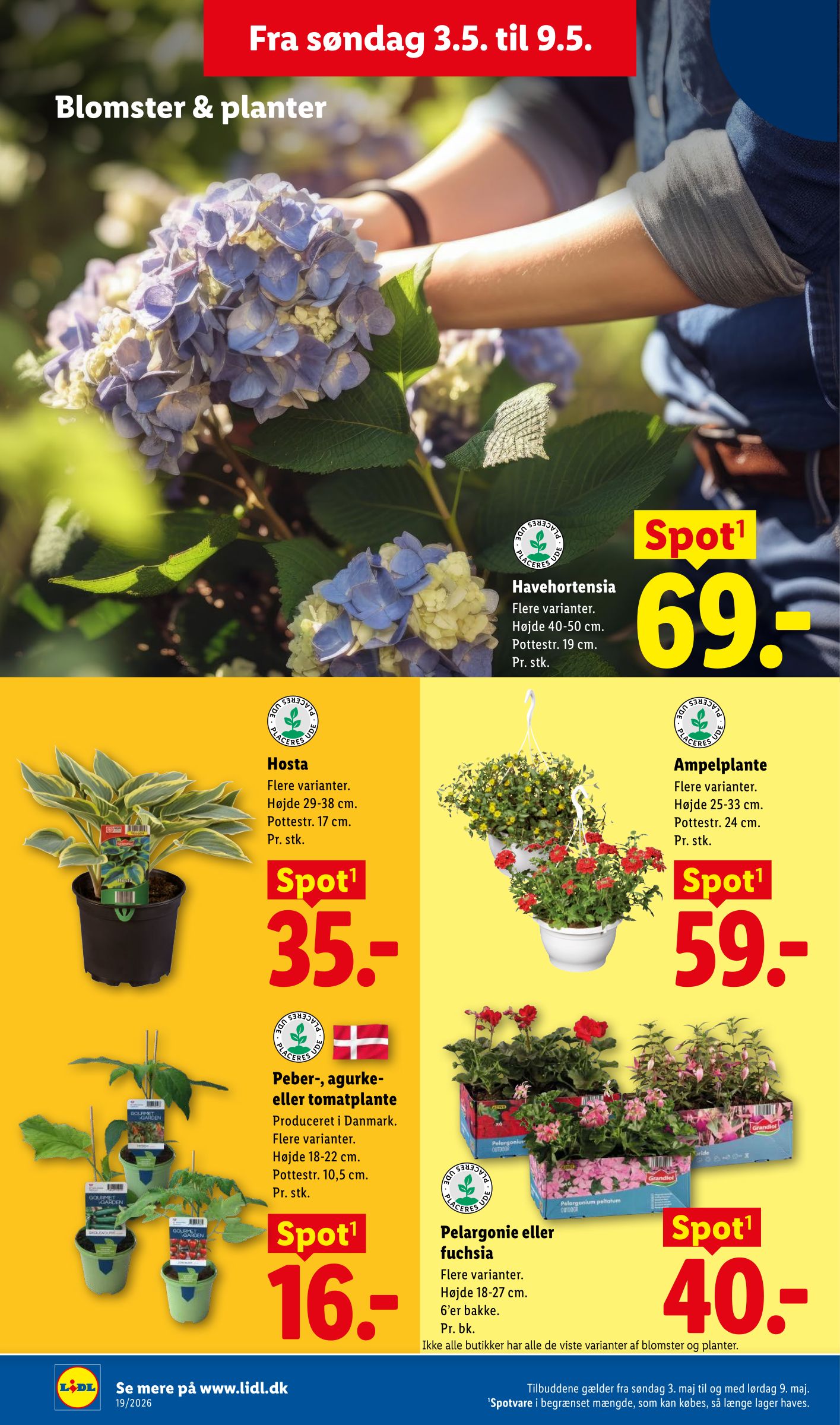 lidl - Aktuel Lidl - Weekendtilbud katalog gyldig fra torsdag 07.05.2026 til lørdag 09.05.2026 - page: 39