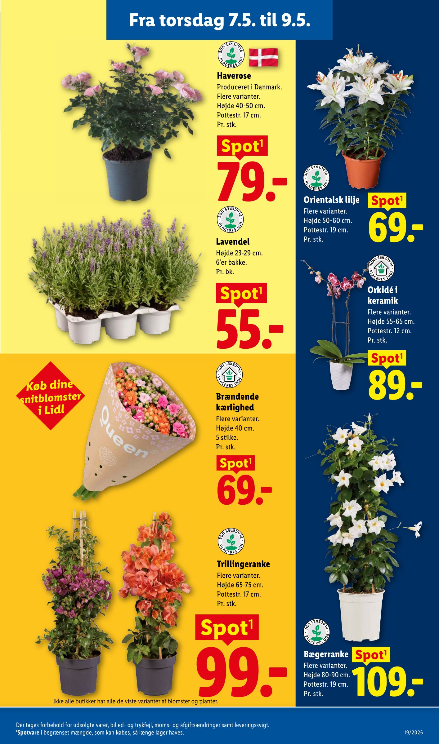 lidl - Aktuel Lidl - Weekendtilbud katalog gyldig fra torsdag 07.05.2026 til lørdag 09.05.2026 - page: 6