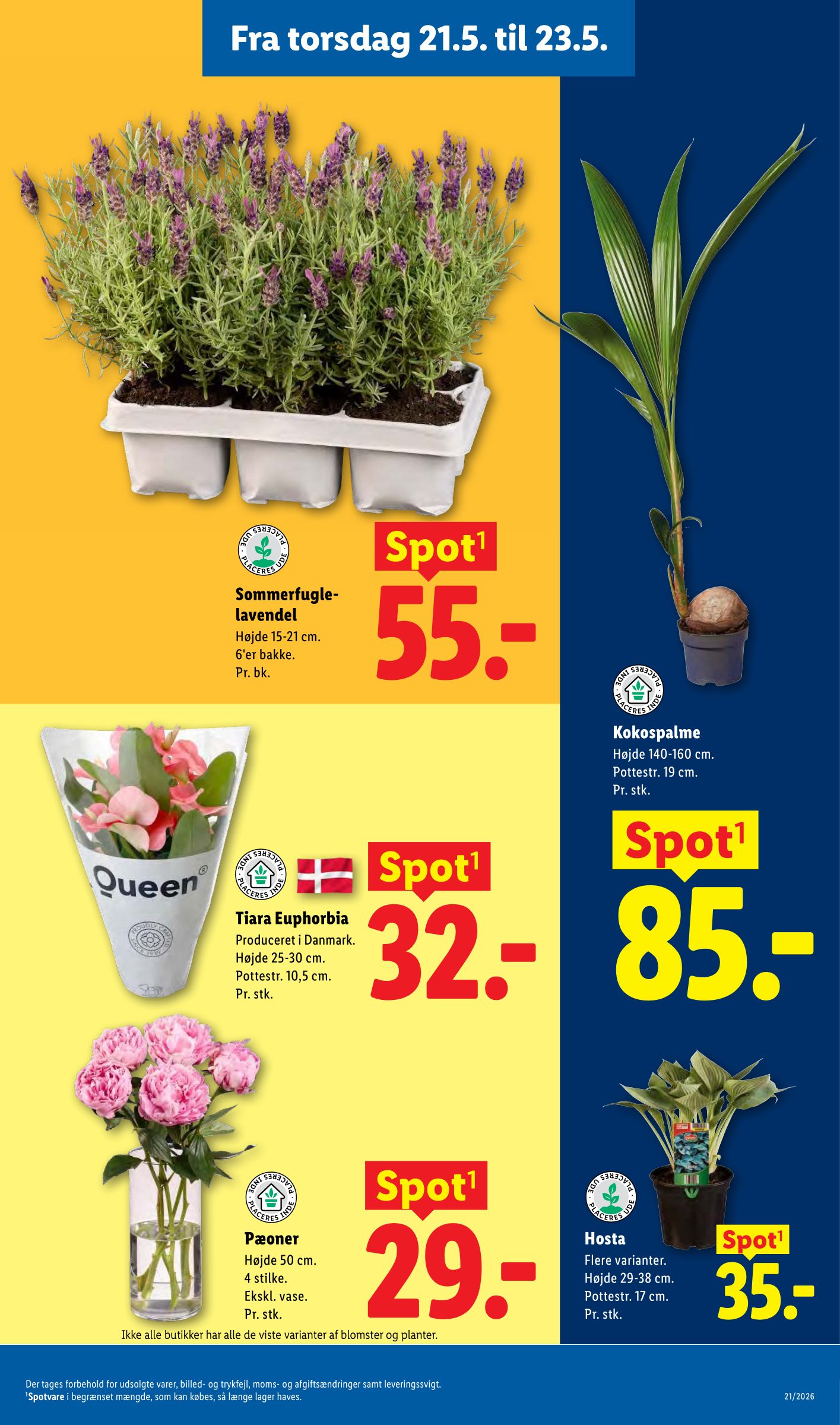 lidl - Lidl flyer til næste uge fra søndag 17.05.2026 til lørdag 23.05.2026 - page: 32
