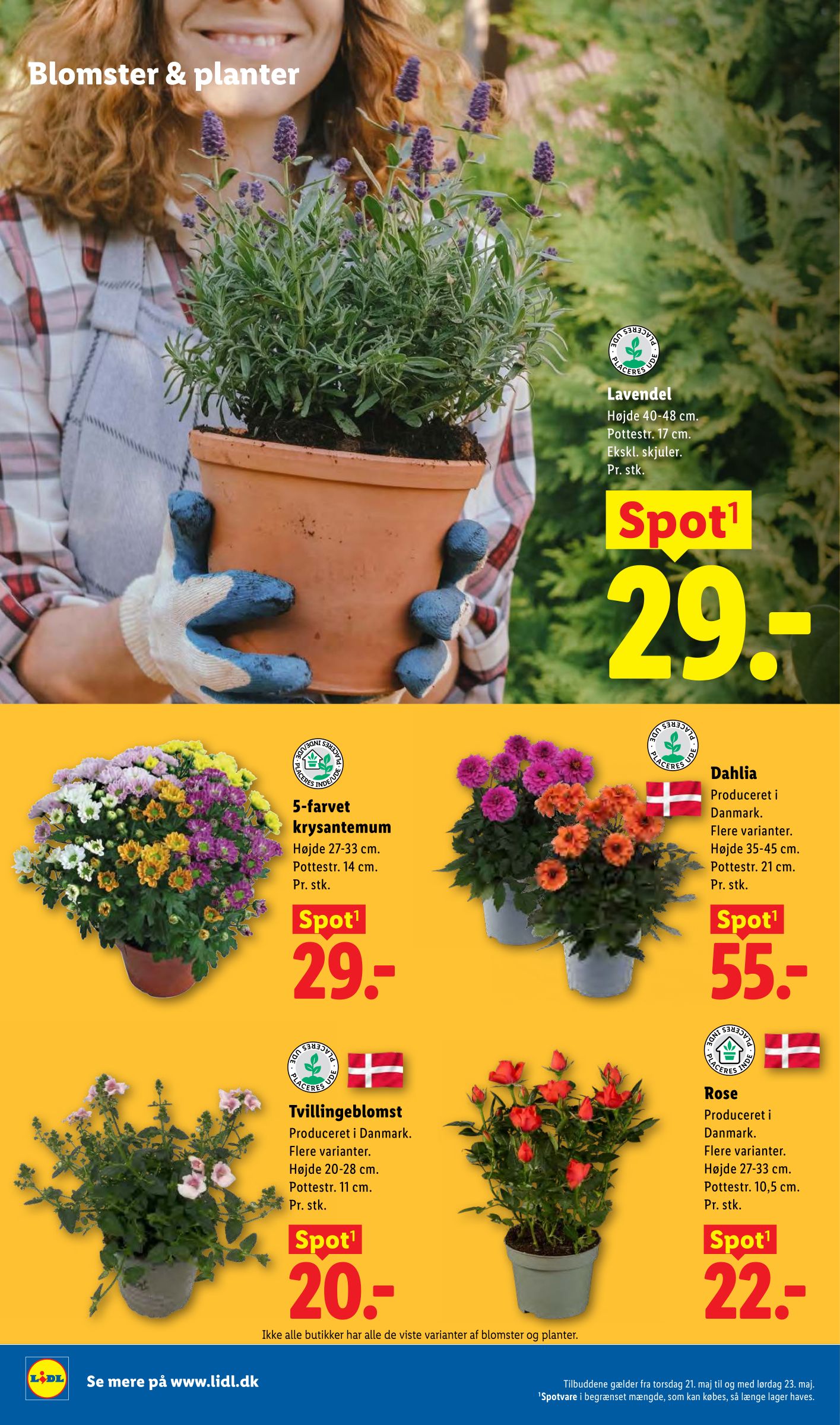 lidl - Lidl flyer til næste uge fra søndag 17.05.2026 til lørdag 23.05.2026 - page: 31
