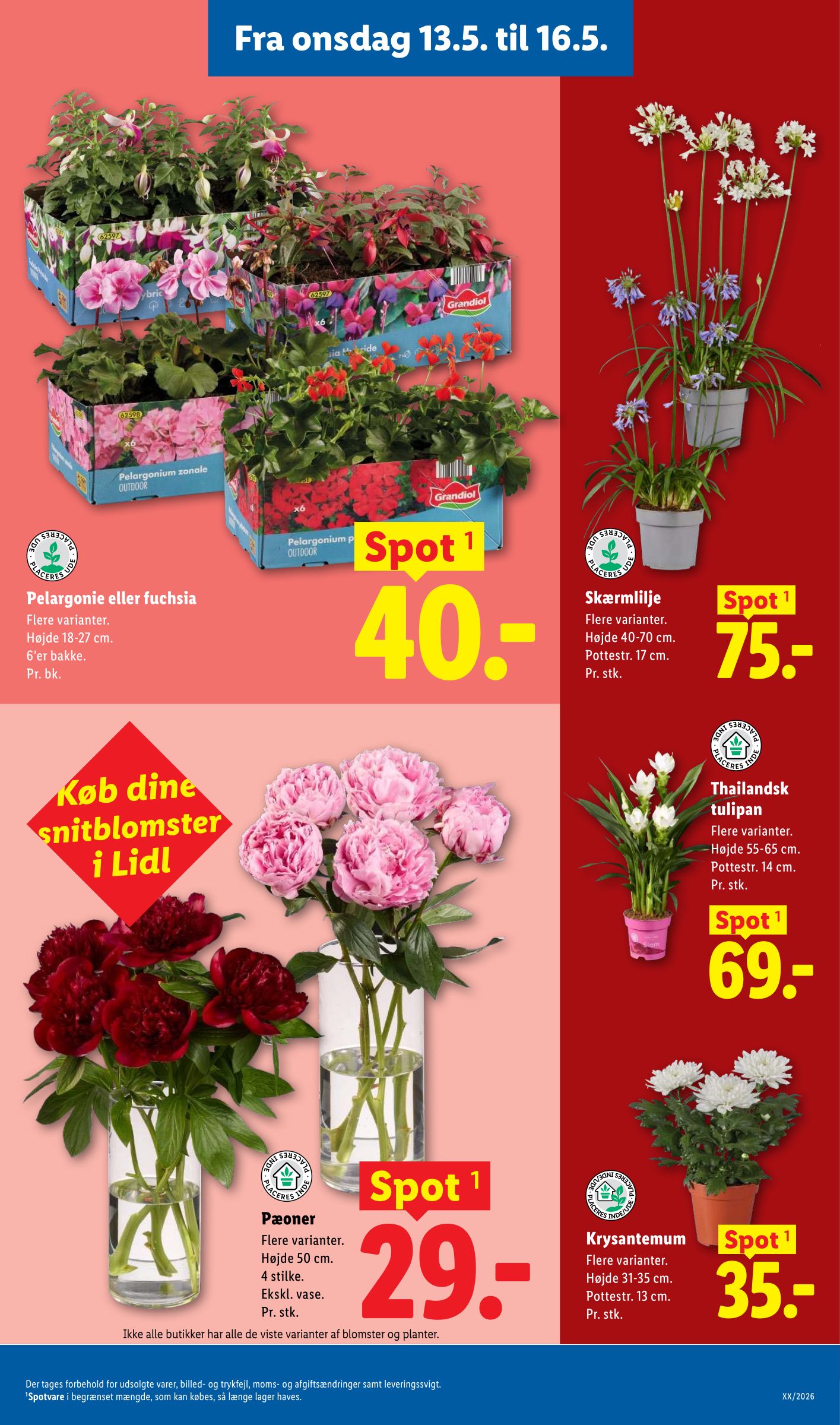 lidl - Aktuel Lidl katalog gyldig fra onsdag 13.05.2026 til lørdag 16.05.2026 - page: 6