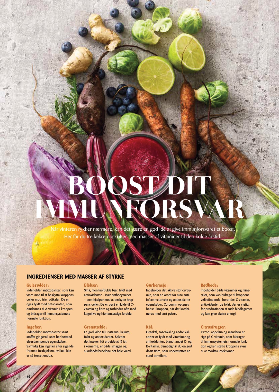 kopkande - Kop&Kande - Essens tilbudsavis gyldig fra 17.10. til 31.12. - page: 40