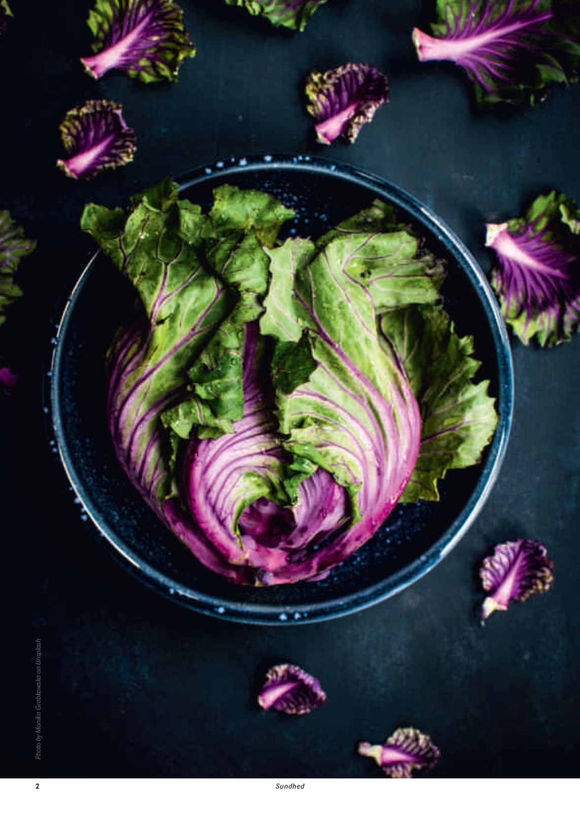 kopkande - Kop&Kande - Sundhed tilbudsavis gyldig fra 01.08. til 31.12. - page: 2