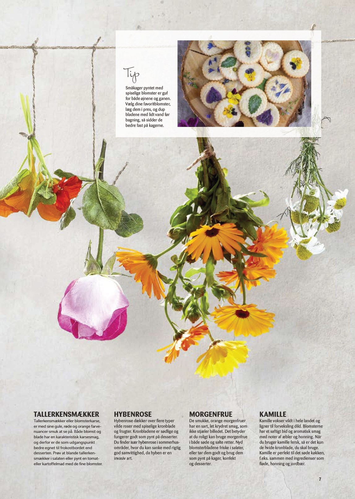 kopkande - Kop&Kande - Forår tilbudsavis gyldig fra 06.03.2026 til 31.05.2026 - page: 7