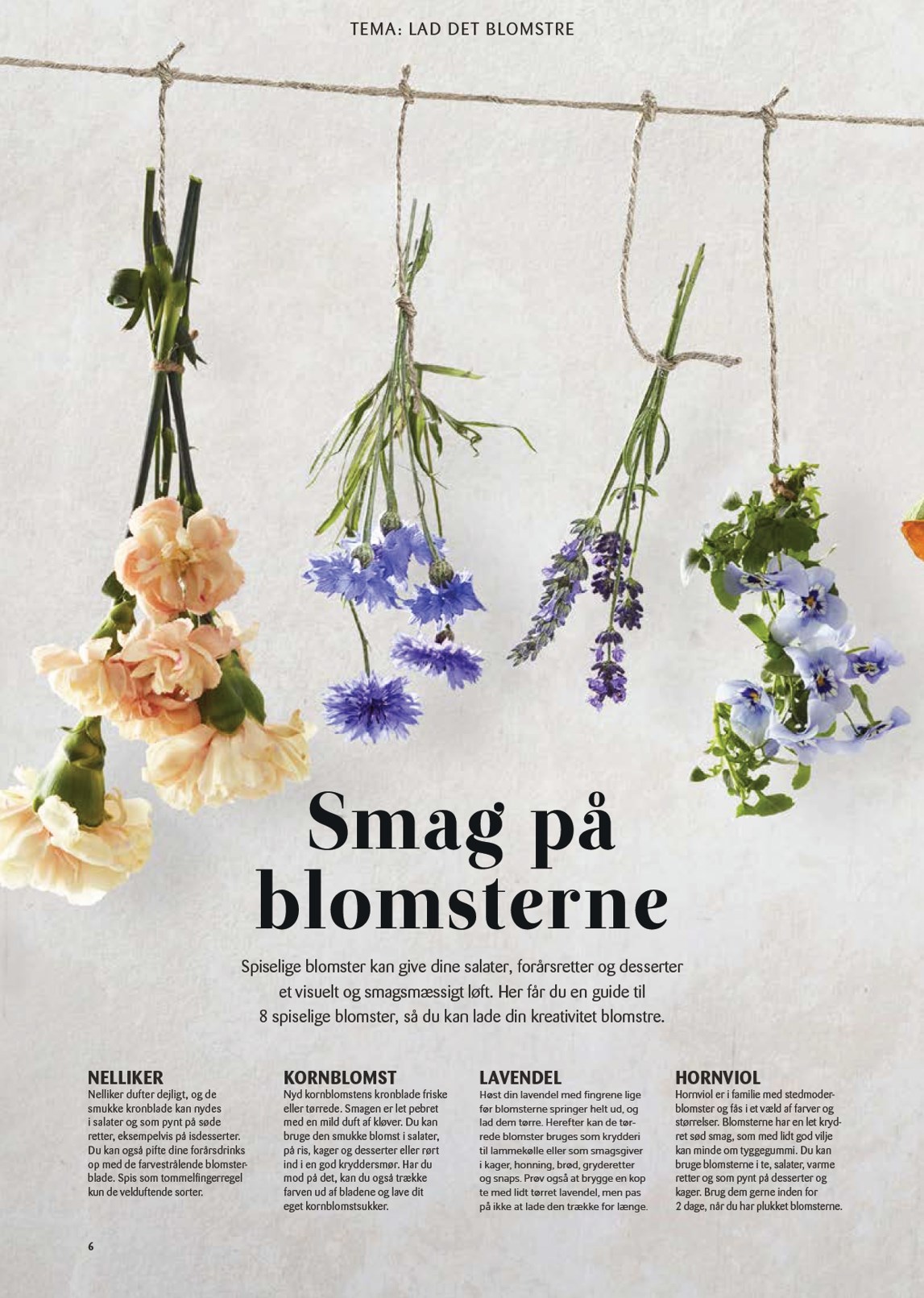 kopkande - Kop&Kande - Forår tilbudsavis gyldig fra 06.03.2026 til 31.05.2026 - page: 6