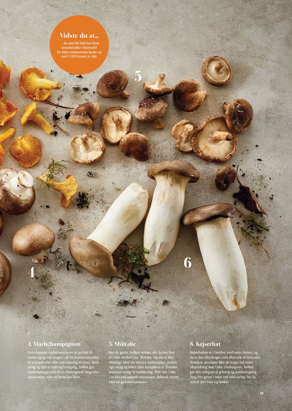 kopkande - Kop&Kande - Essens - Magisk Jul tilbudsavis gyldig fra 03.04.2026 til 31.12.2026 - page: 19