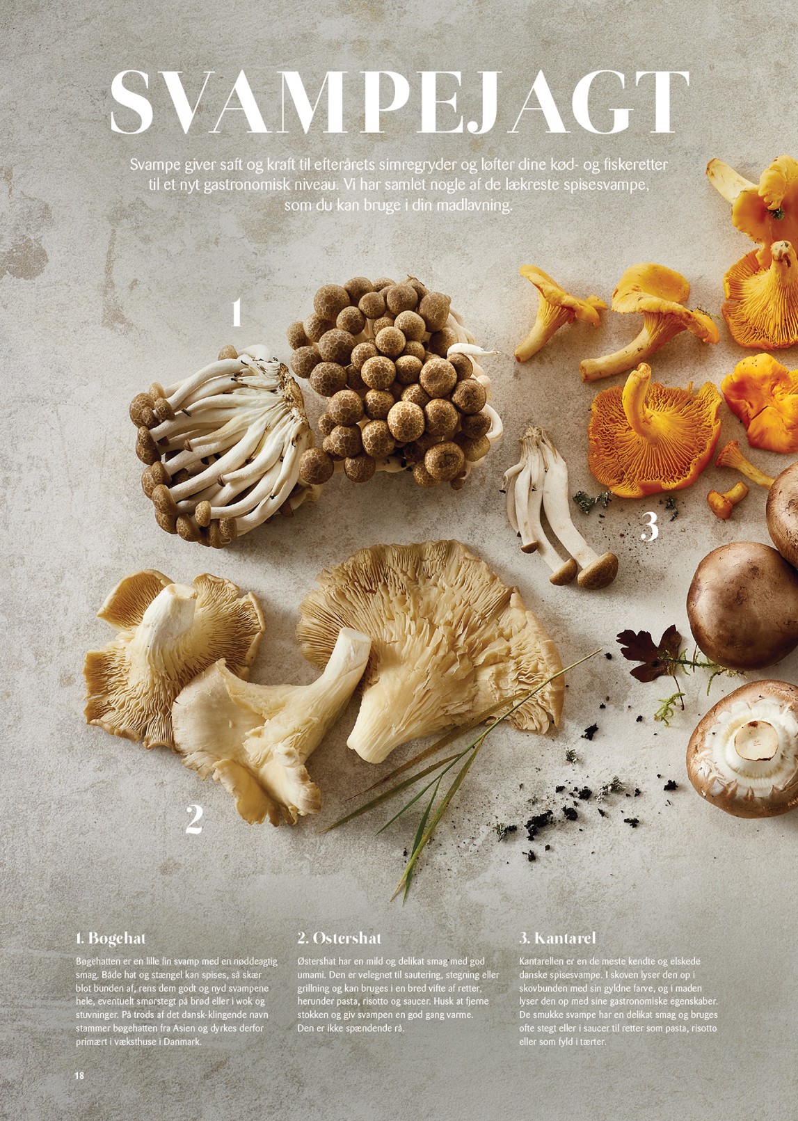 kopkande - Kop&Kande - Essens - Magisk Jul tilbudsavis gyldig fra 03.04.2026 til 31.12.2026 - page: 18