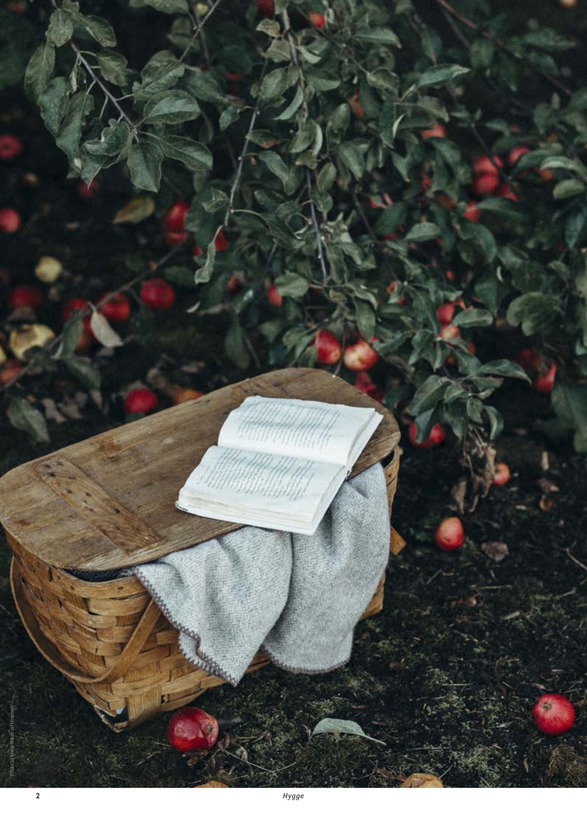 kopkande - Kop&Kande - Hygge tilbudsavis gyldig fra 03.04.2026 til 31.08.2026 - page: 2