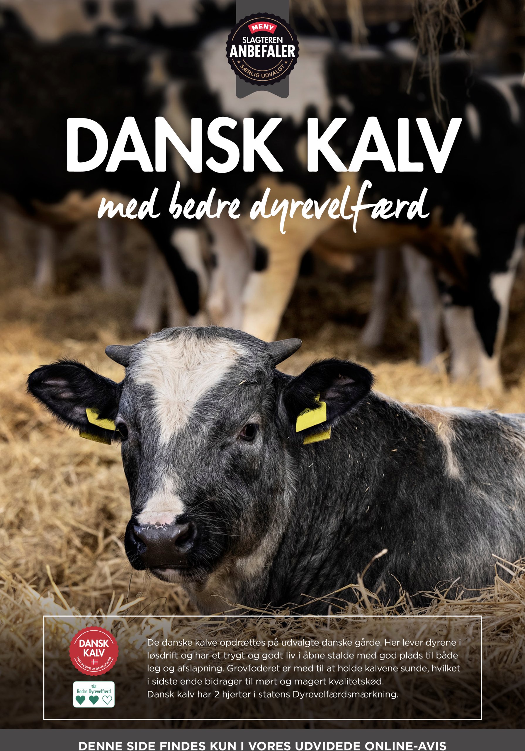 meny - Meny tilbudsavis gyldig fra 11.07. til 17.07. - page: 10