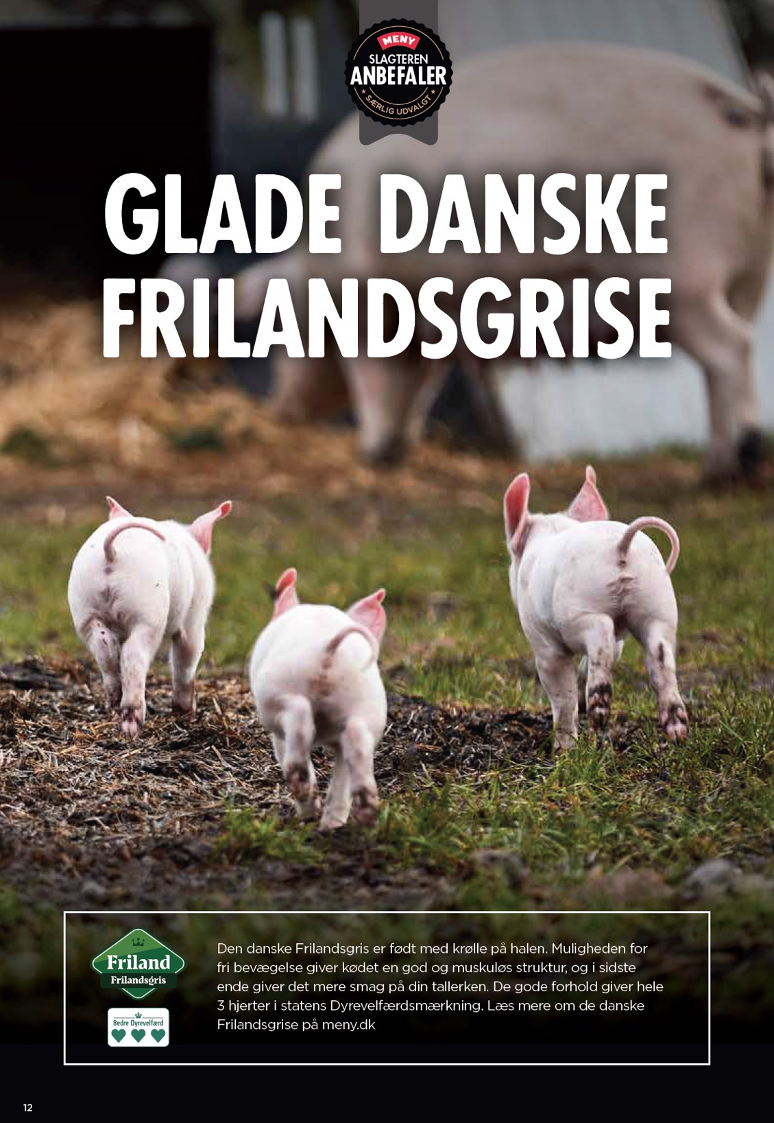 meny - Meny tilbudsavis gyldig fra 15.08. til 21.08. - page: 16 meny - Meny tilbudsavis gyldig fra 15.08. til 21.08. - page: 16