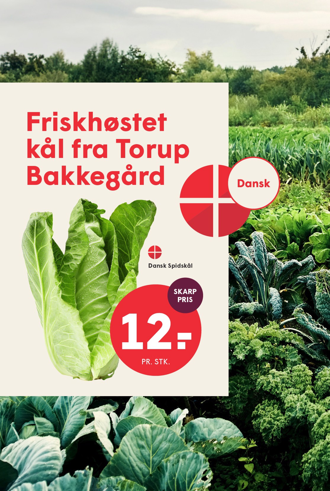 spar - Spar tilbudsavis for næste uge fra fredag, 11.09.2026 til torsdag, 17.09.2026 - page: 10