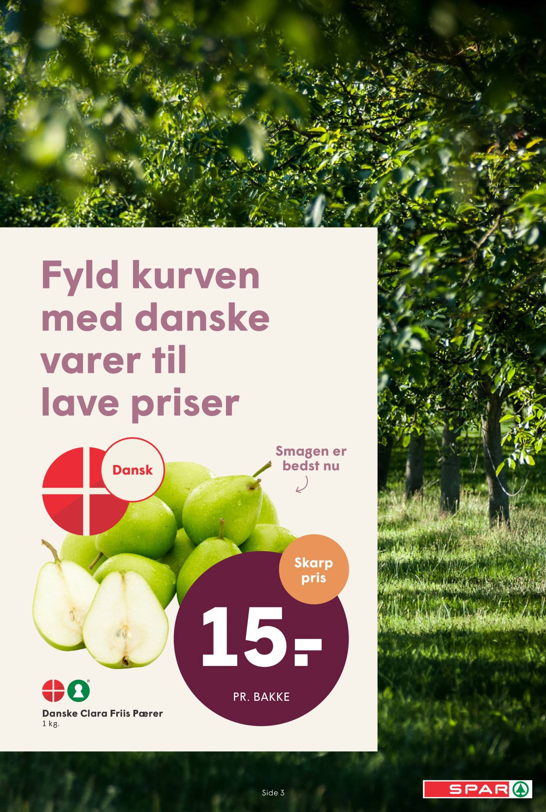 spar - Spar tilbudsavis gyldig fra 12.10. - 18.10. - page: 3