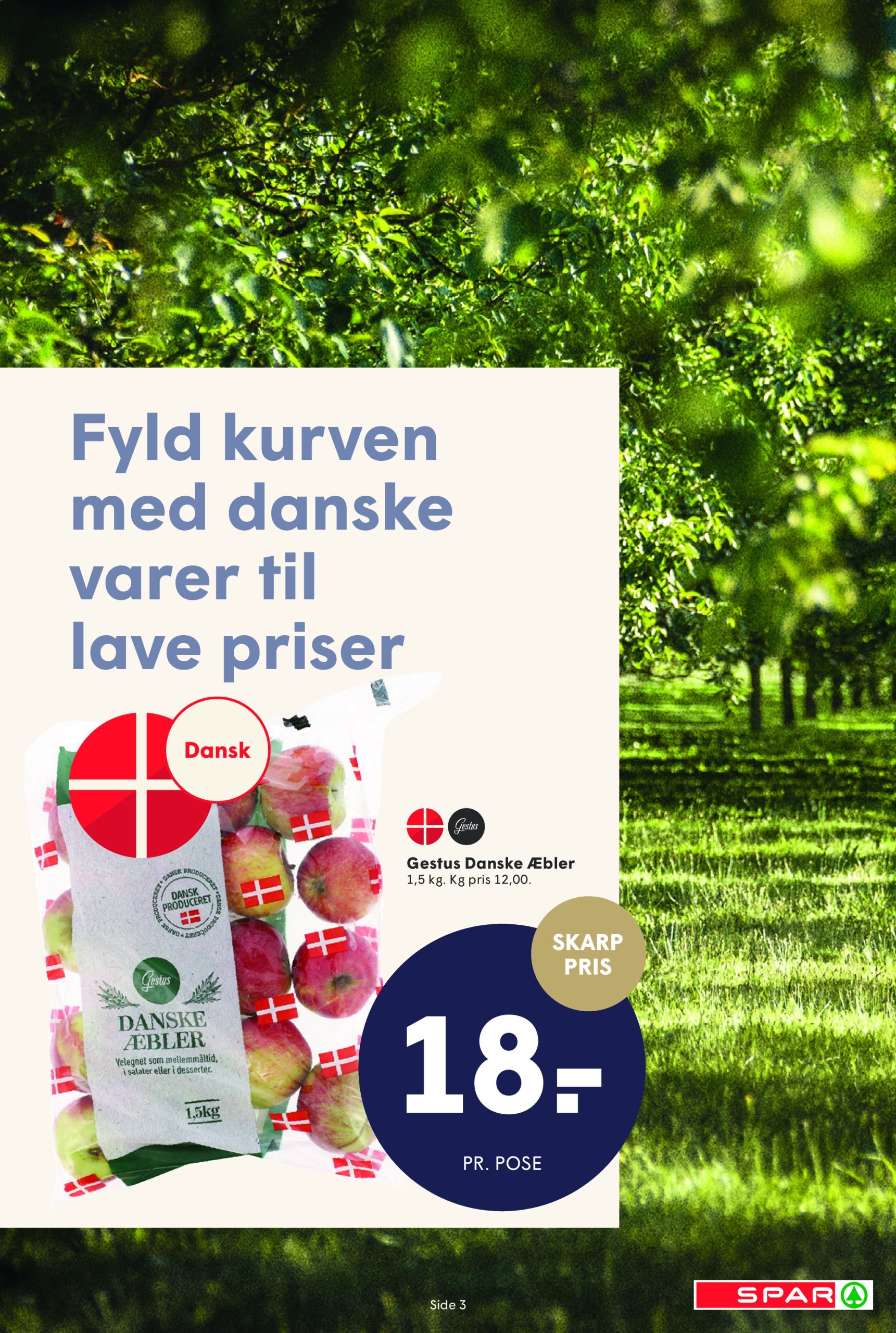 spar - Spar tilbudsavis gyldig fra 18.01. - 24.01. - page: 3