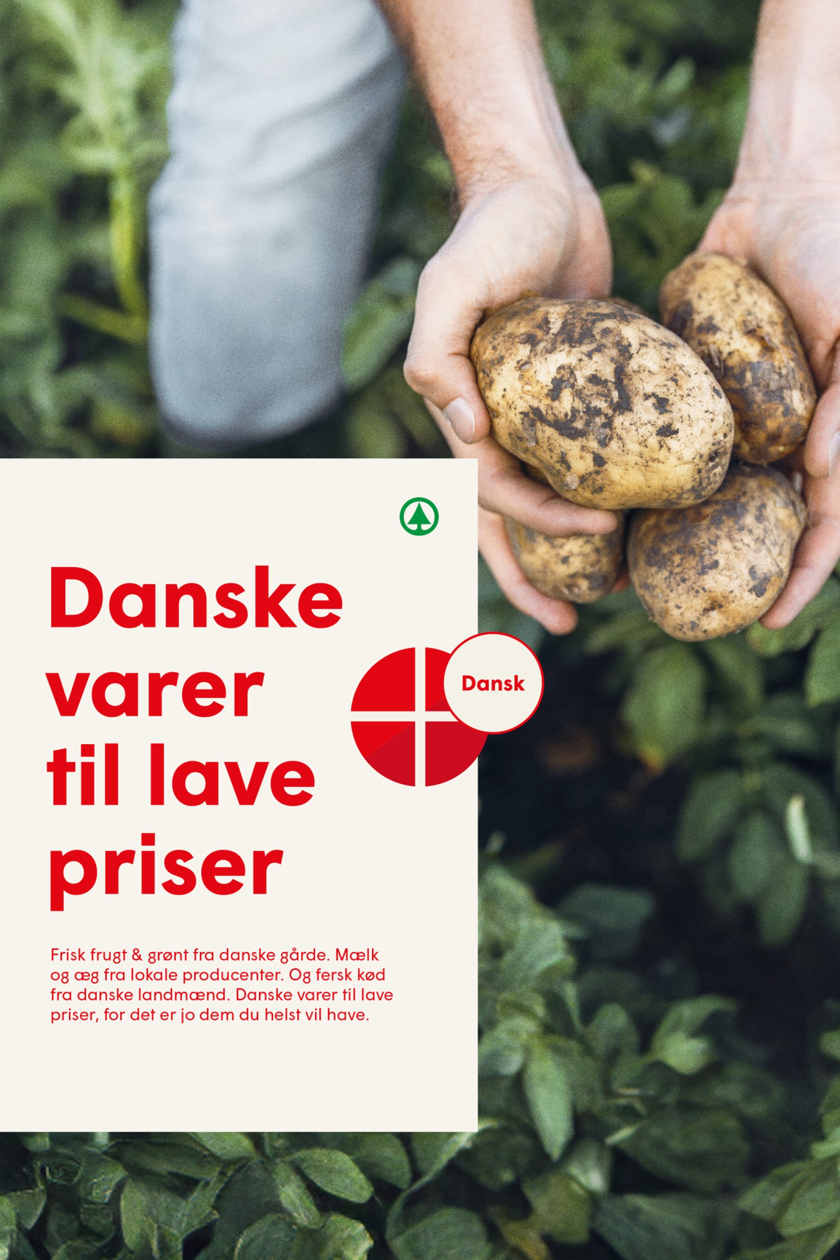 spar - Spar tilbudsavis gyldig fra 09.05. - 15.05. - page: 21