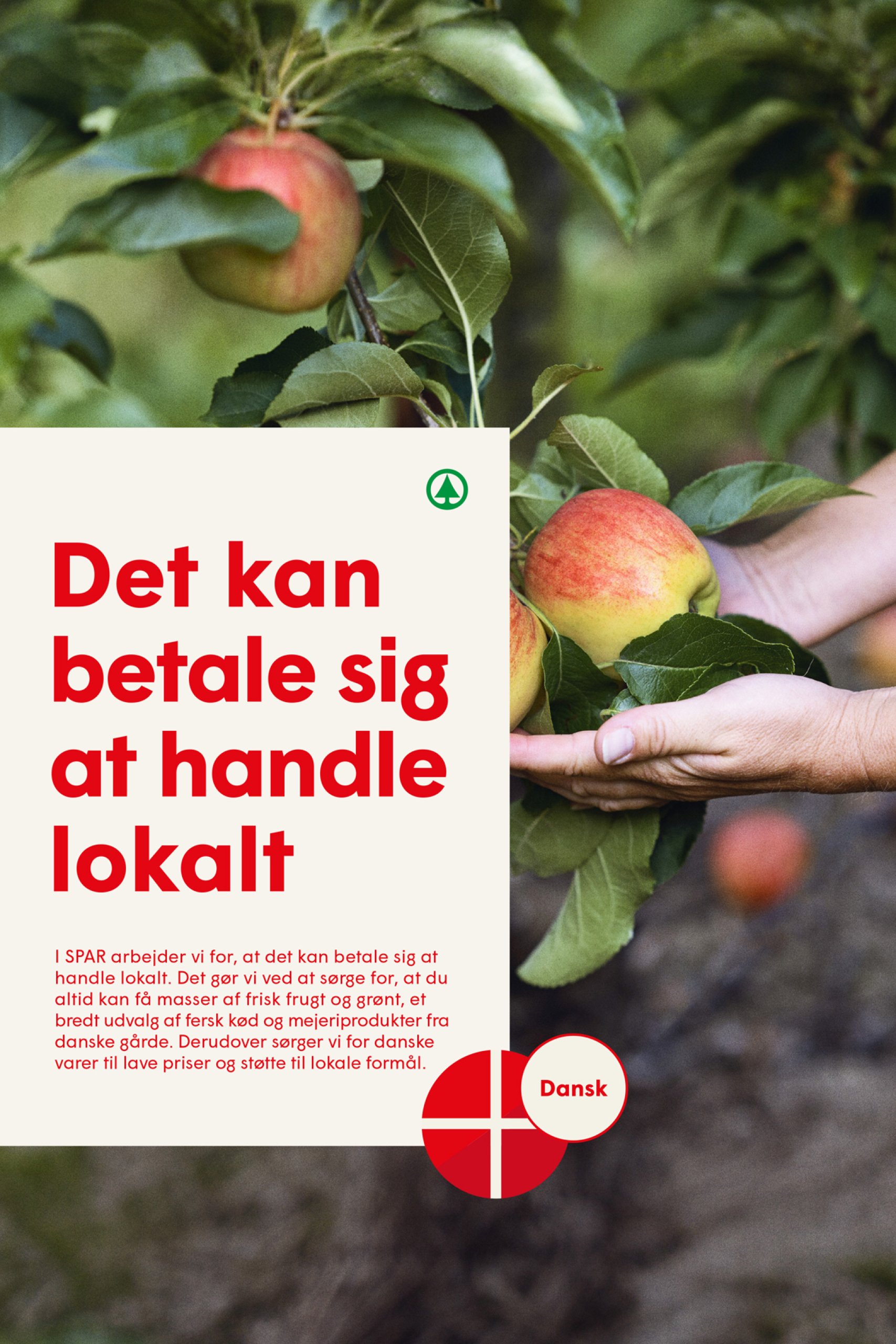 spar - Spar tilbudsavis gyldig fra 23.05. - 29.05. - page: 25