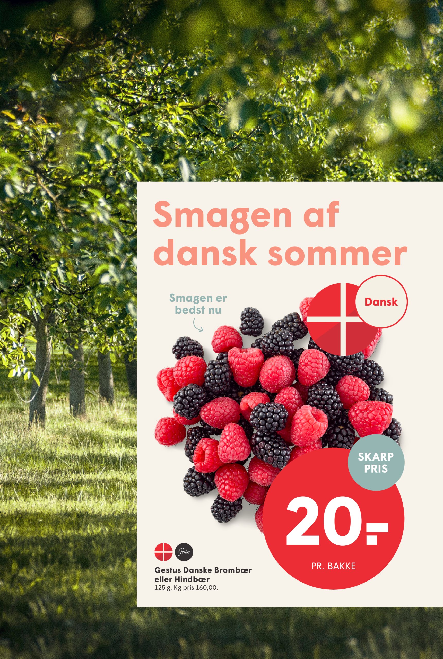 spar - Spar tilbudsavis gyldig fra 18.07. til 24.07. - page: 8
