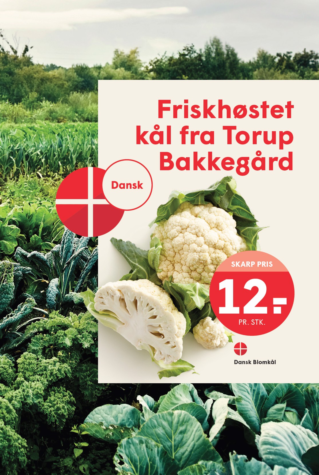 spar - Spar tilbudsavis gyldig fra 15.08. til 21.08. - page: 7