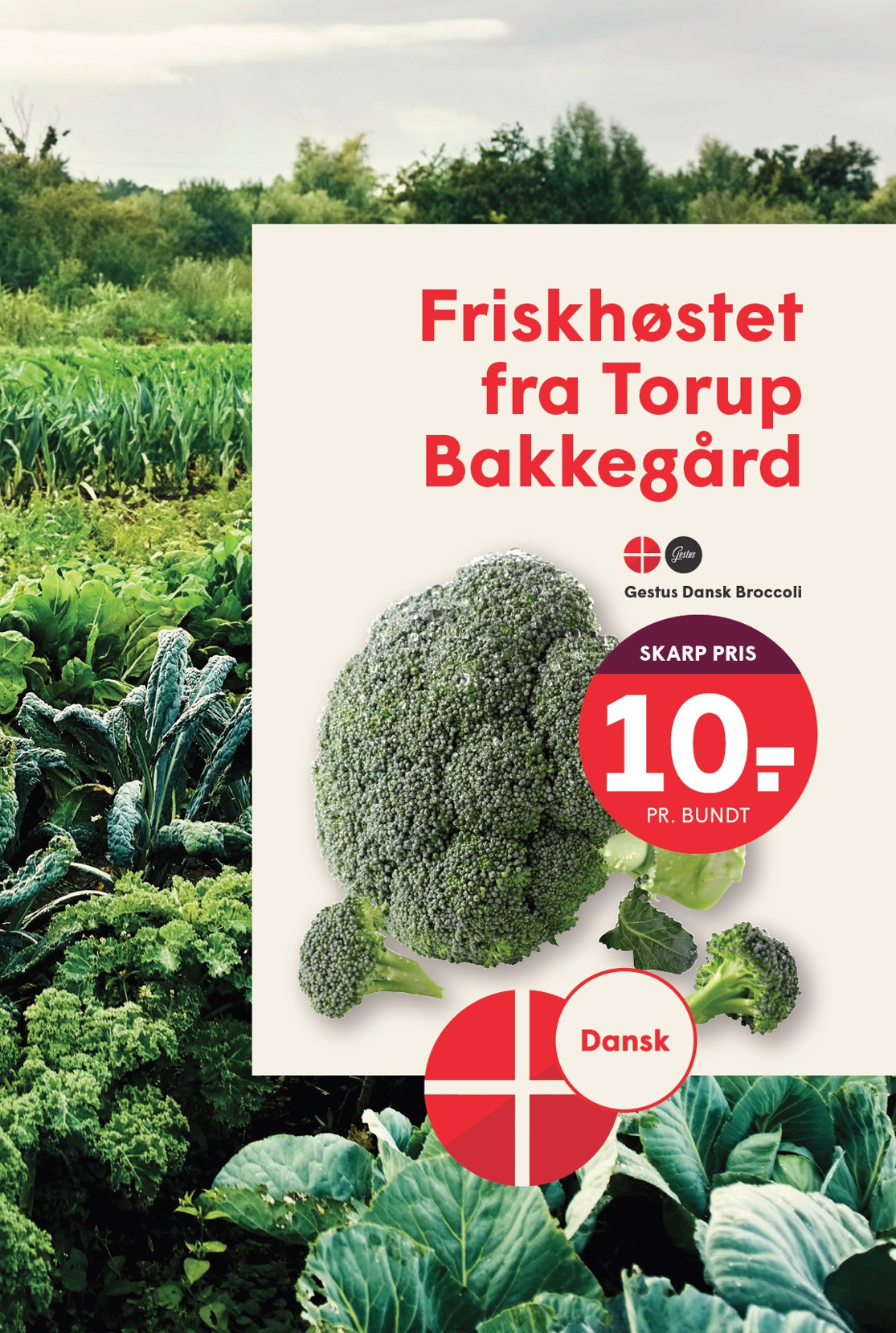 spar - Spar tilbudsavis gyldig fra 29.08. til 04.09. - page: 2