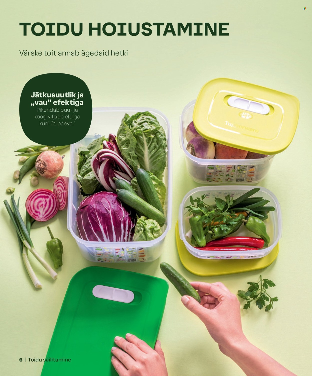 tupperware - Tupperware kliendileht - KEVAD & SUVI 2024 - page: 6