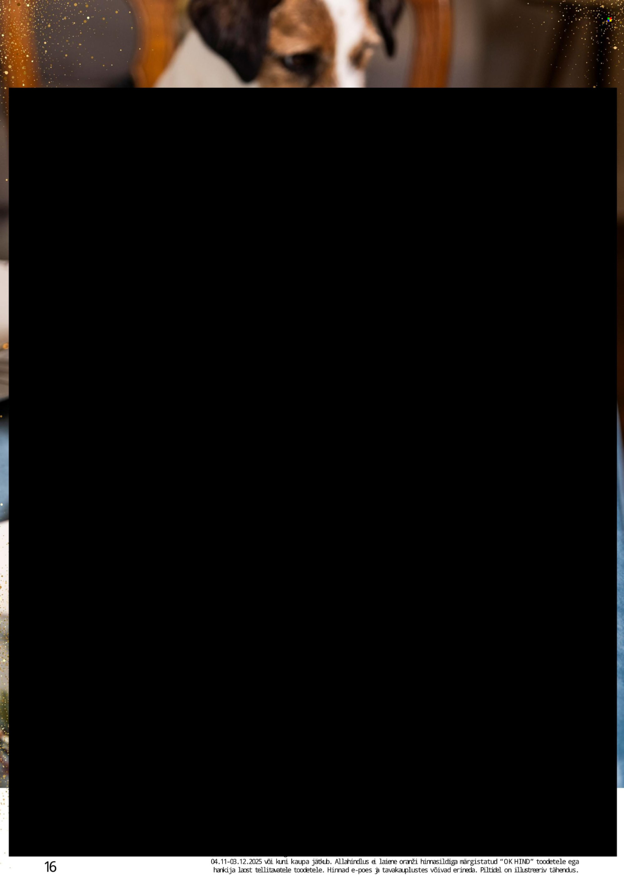bauhof - Bauhof kliendileht - JÕULUD ALGAVAD BAUHOFIST! (4.11 - 31.12.2025) - page: 16